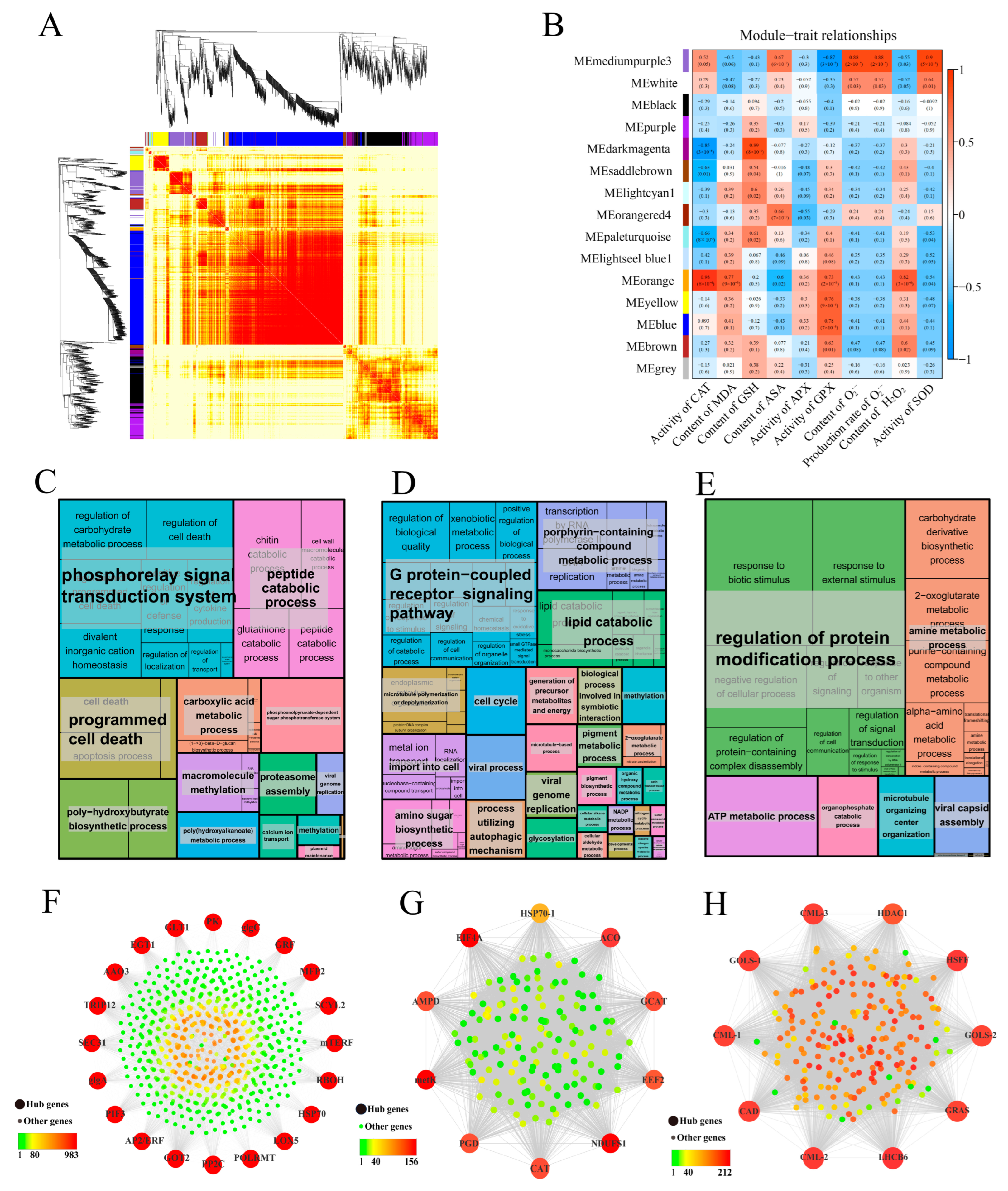 Antioxidants 12 01353 g010