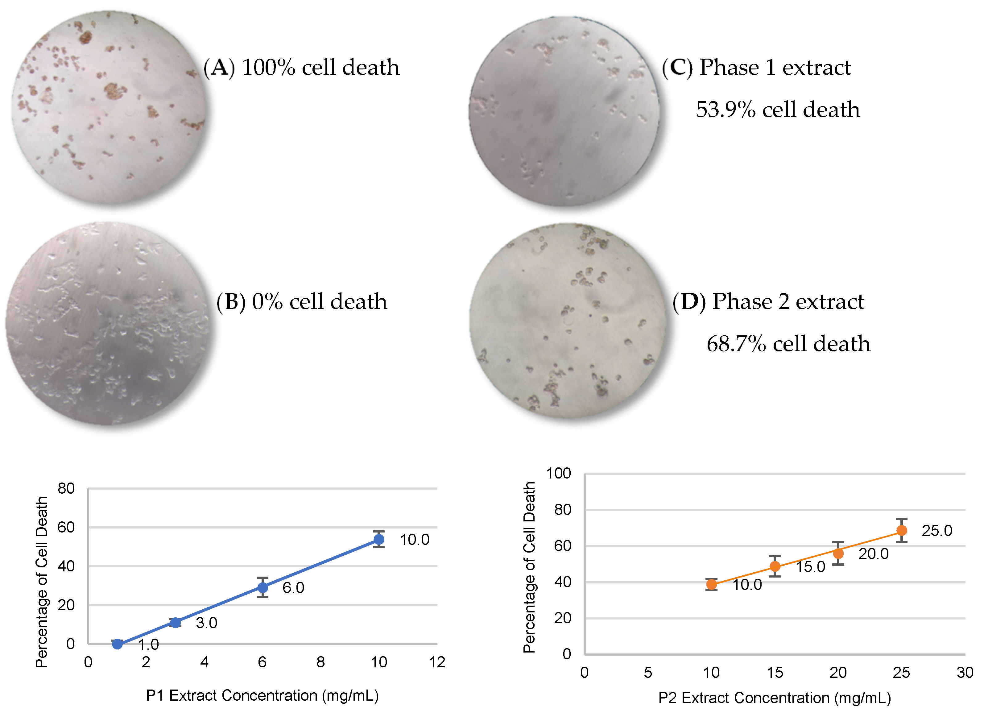 Antioxidants 12 01356 g002