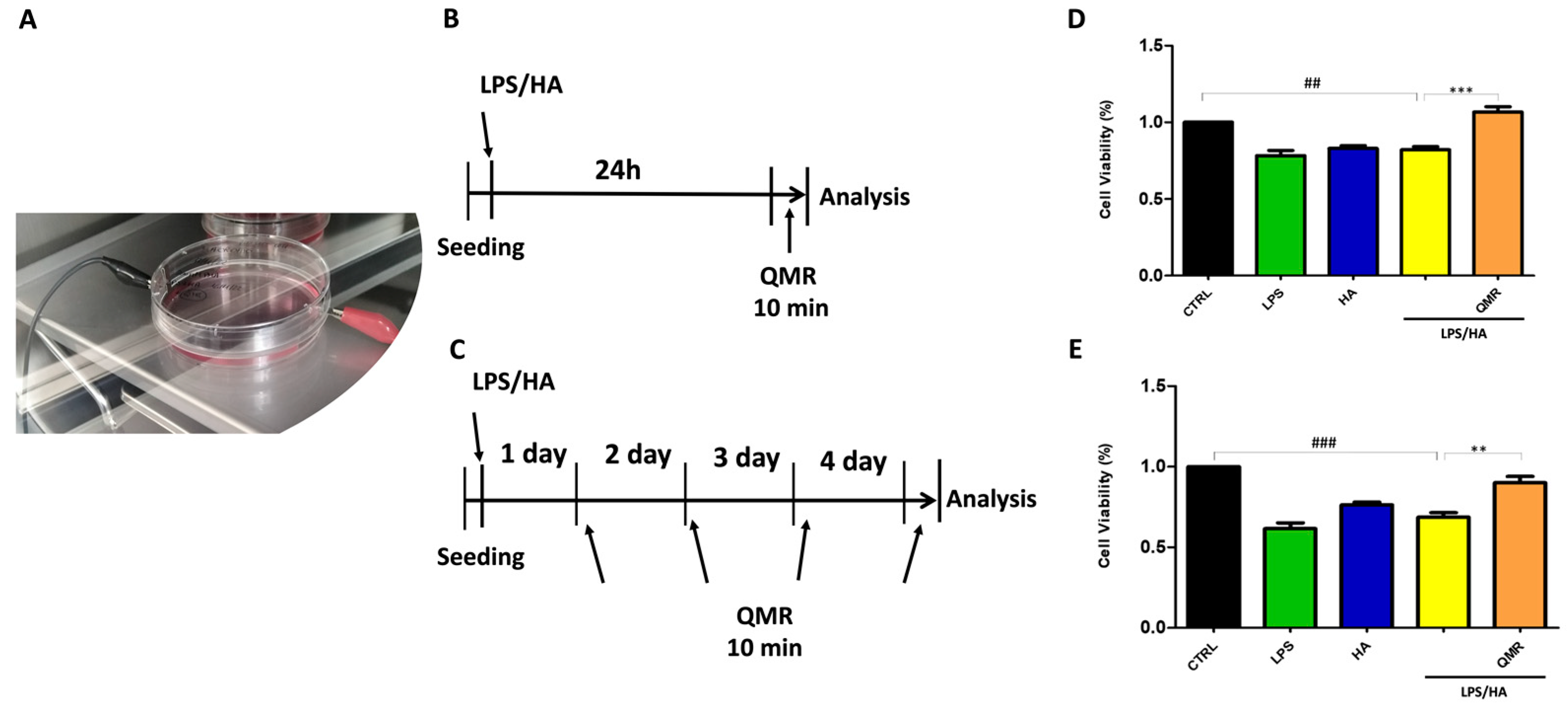 Antioxidants 12 01358 g001