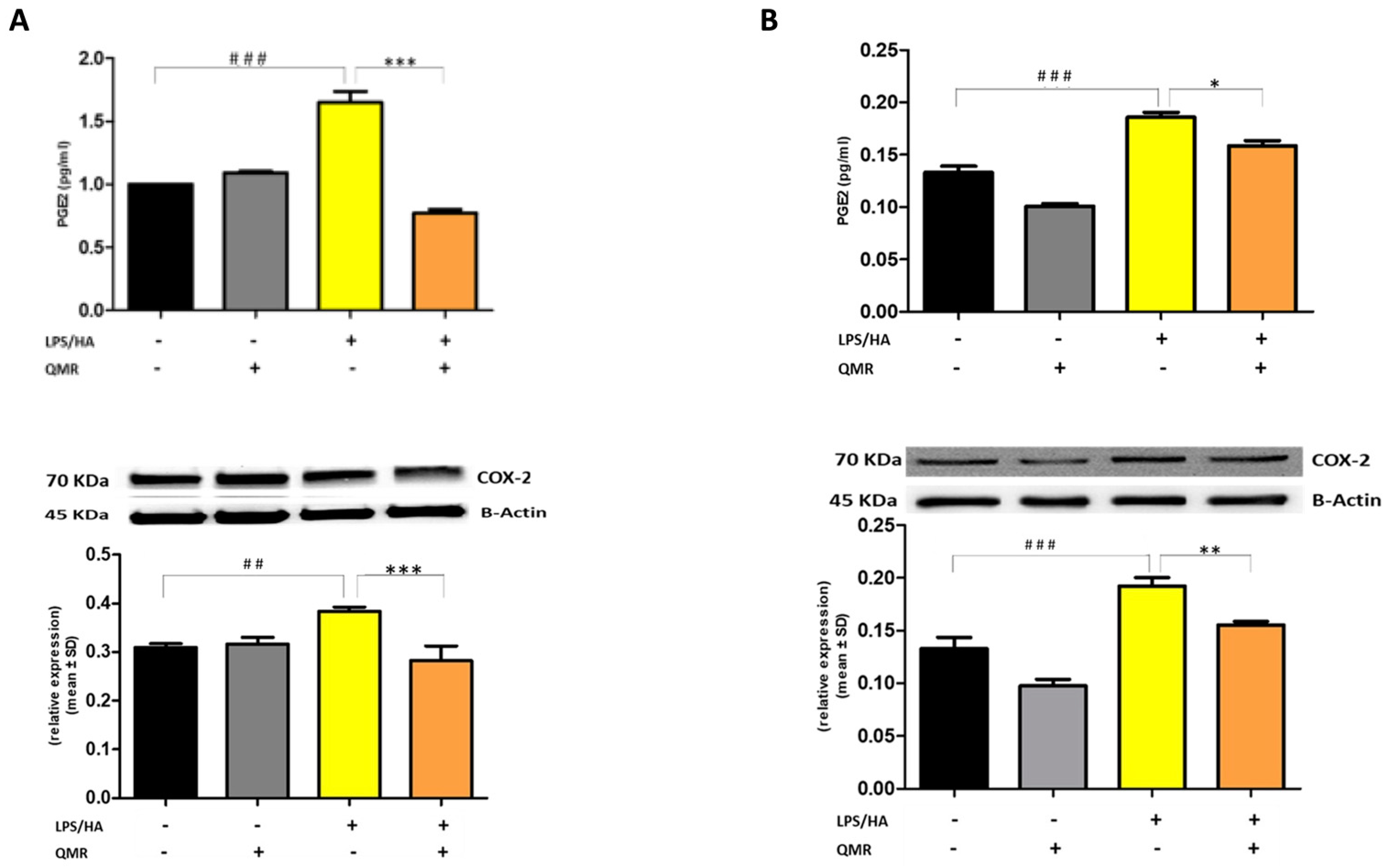 Antioxidants 12 01358 g002