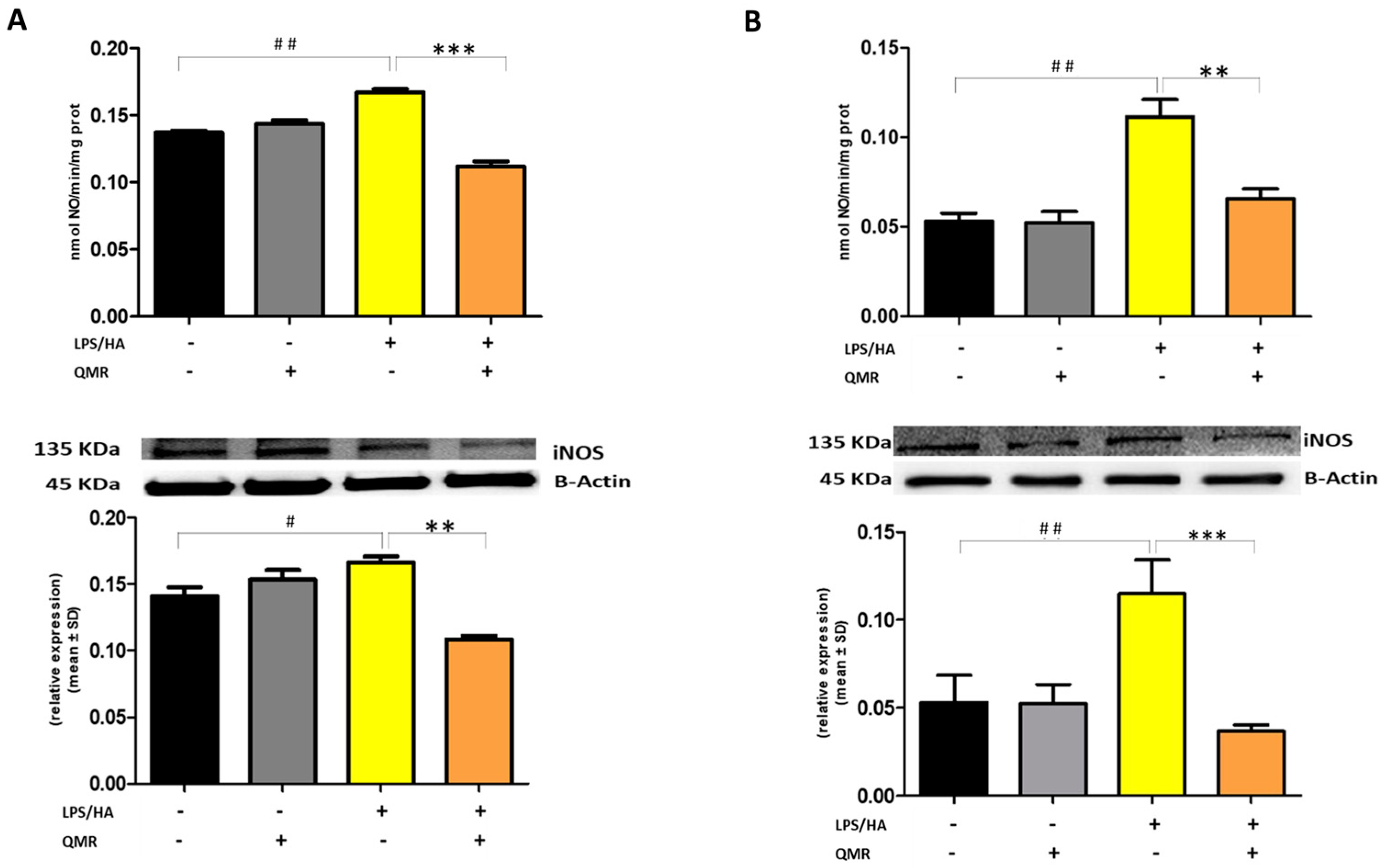 Antioxidants 12 01358 g003