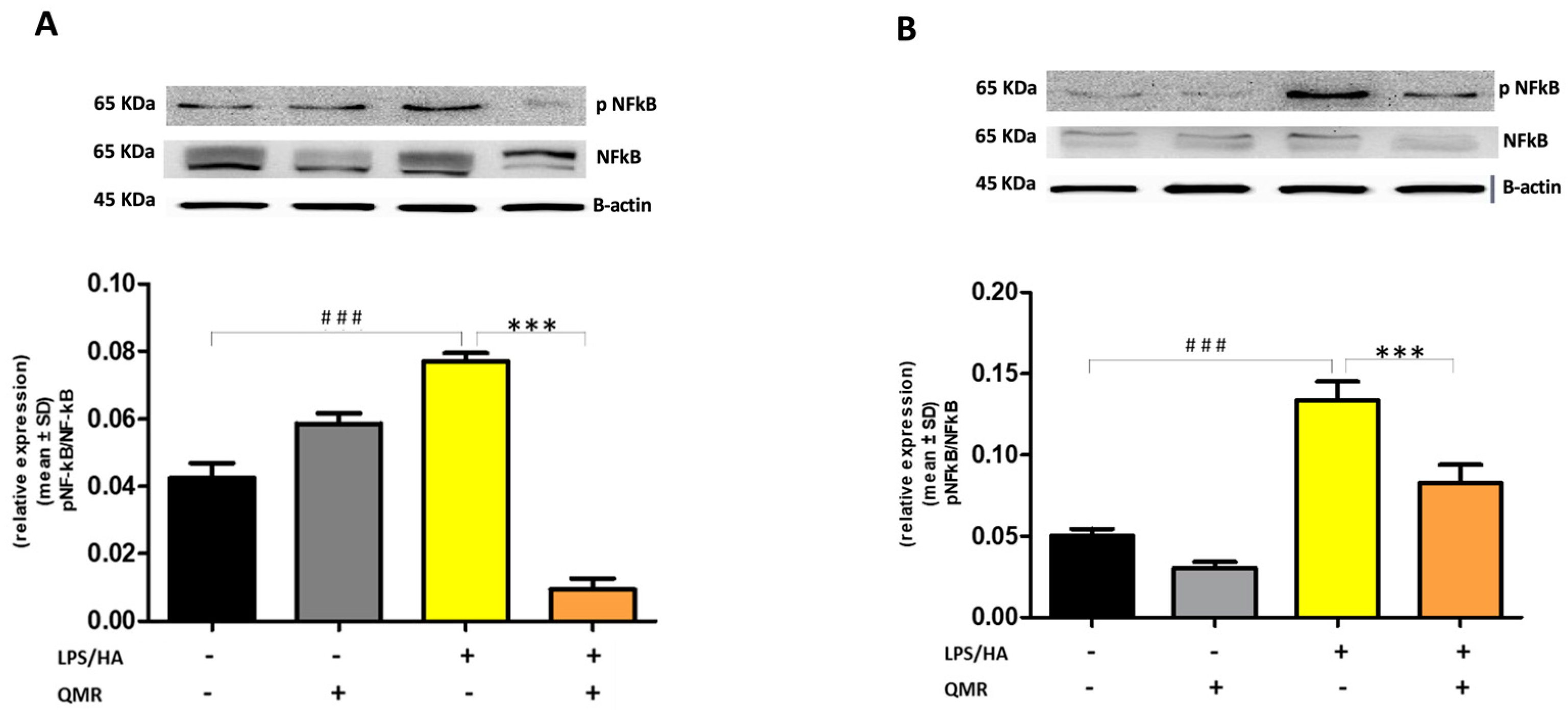 Antioxidants 12 01358 g004