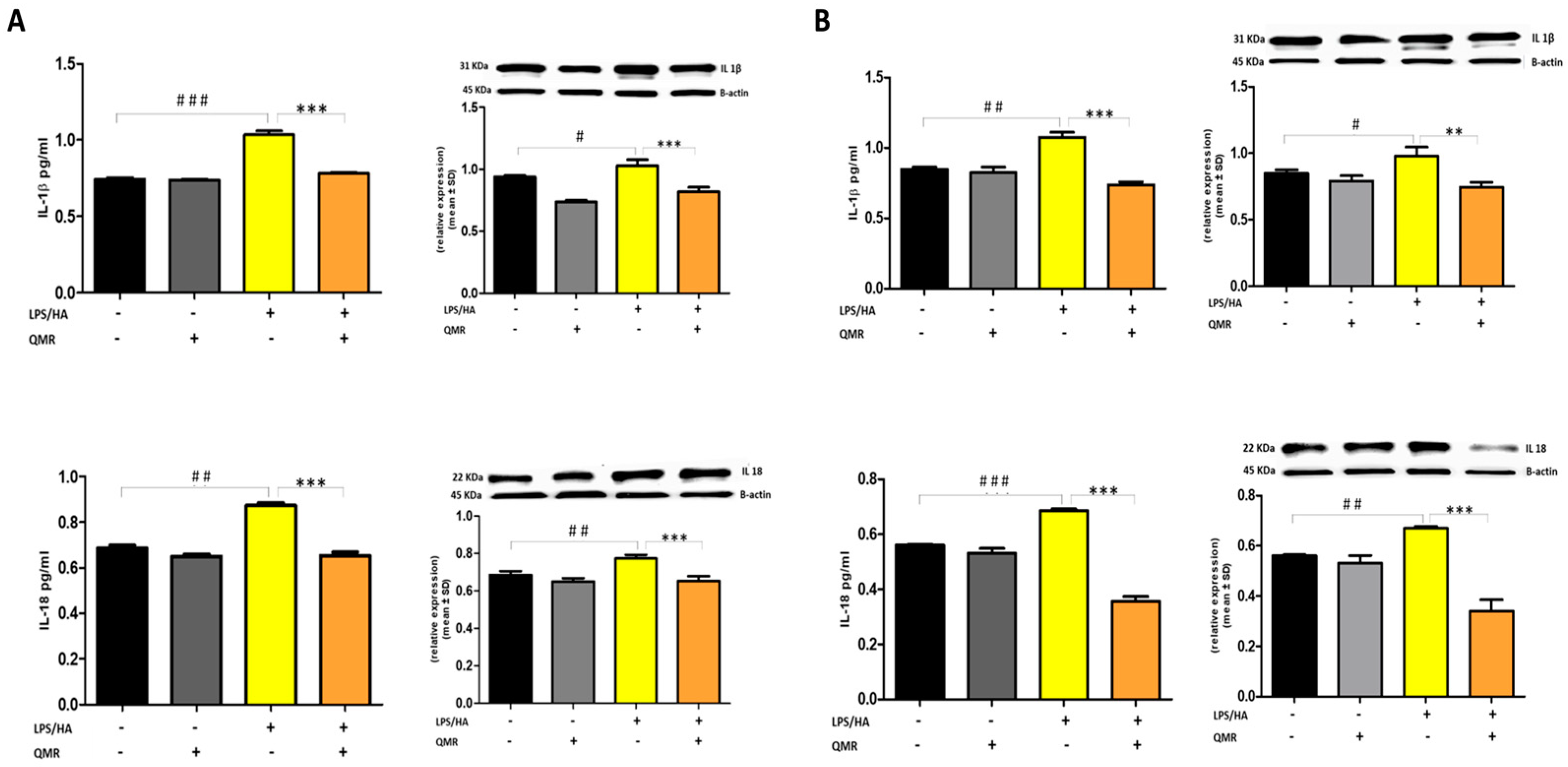 Antioxidants 12 01358 g008