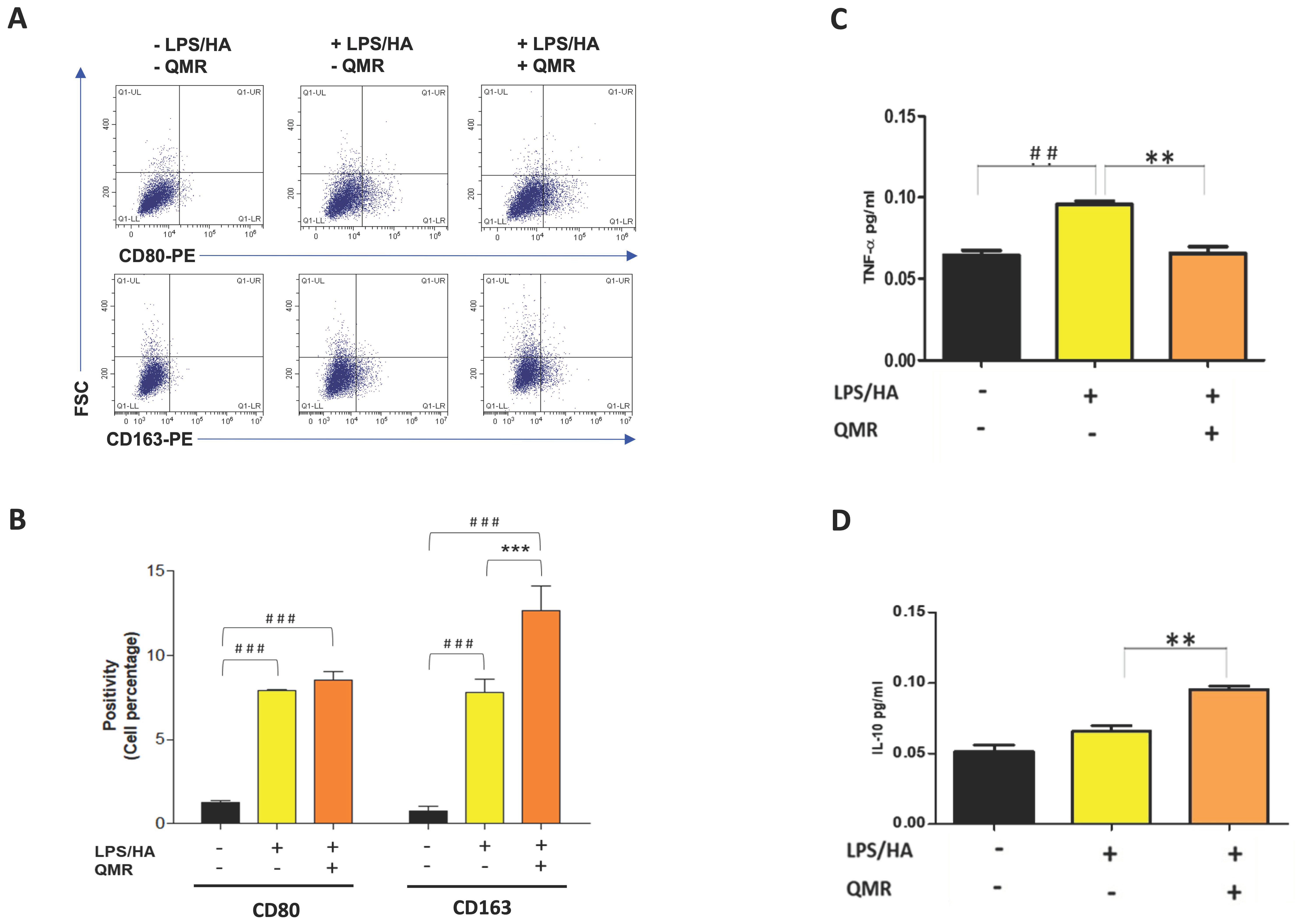 Antioxidants 12 01358 g009