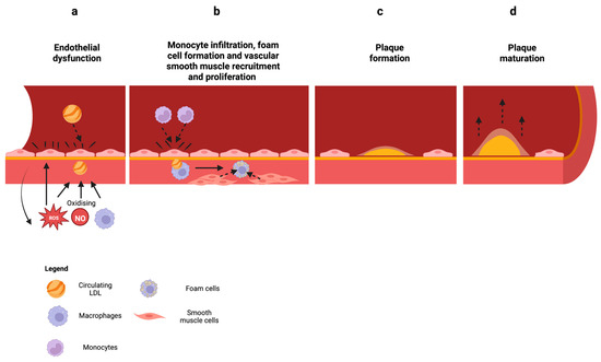 Antioxidants 12 01359 g002