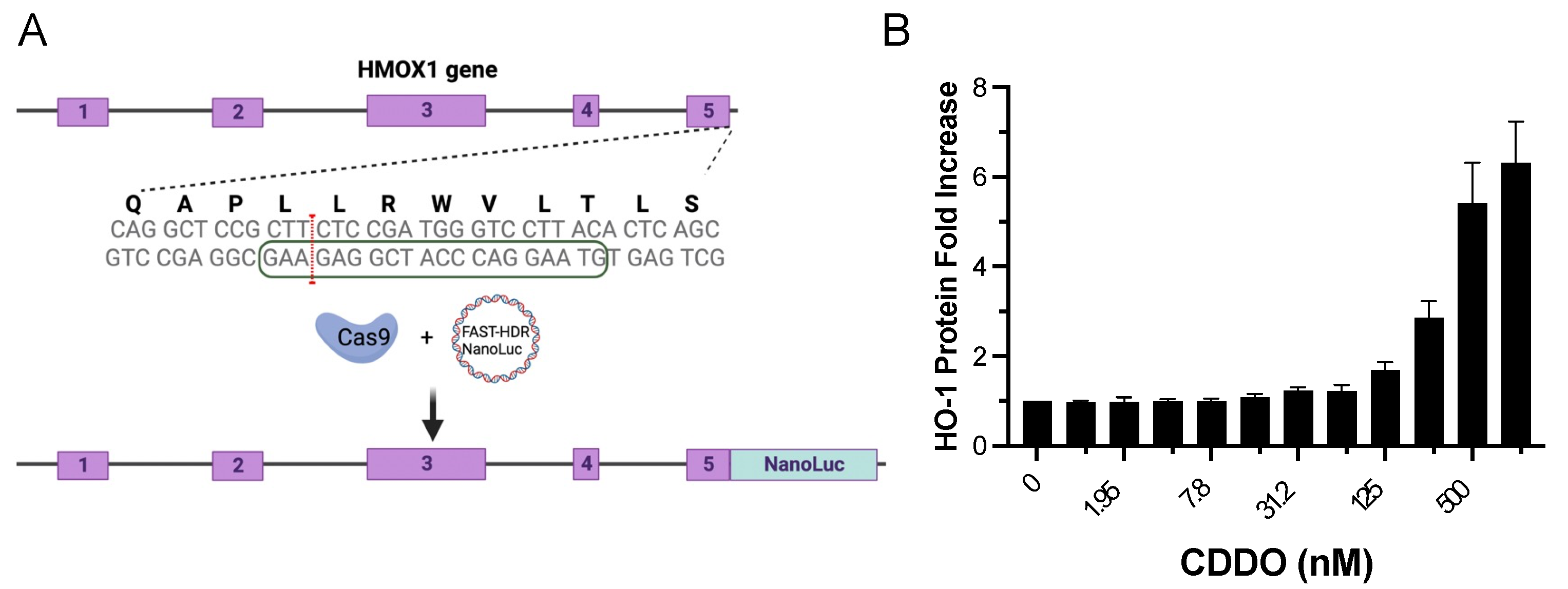Antioxidants 12 01363 g001