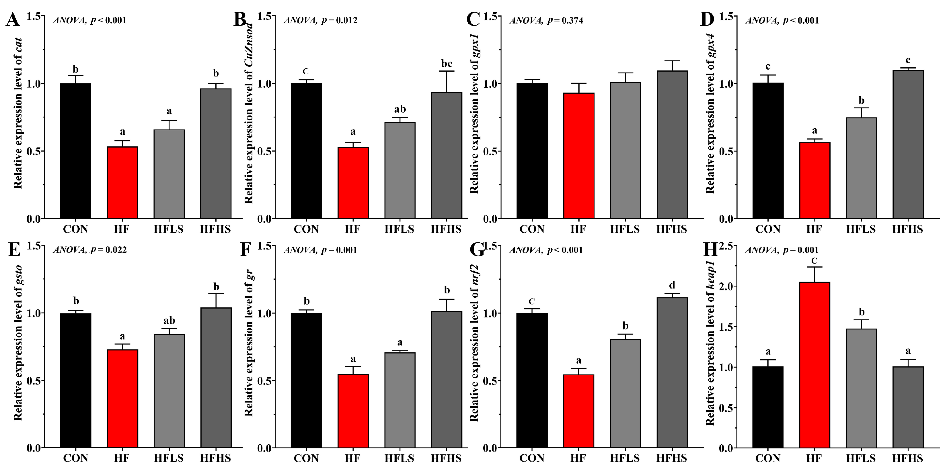Antioxidants 12 01366 g002 Antioxidants 12 01366 g002