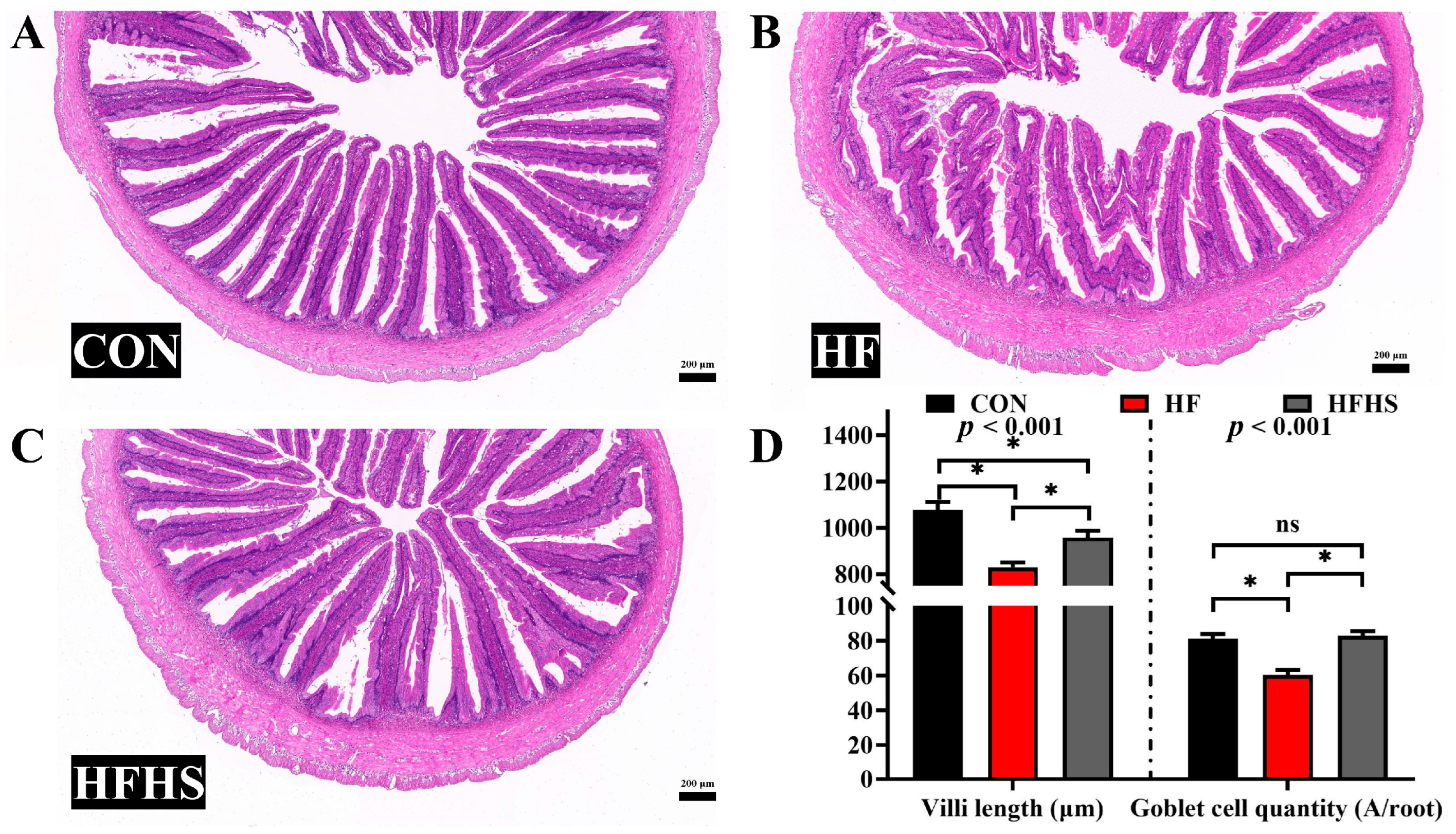 Antioxidants 12 01366 g003 Antioxidants 12 01366 g003