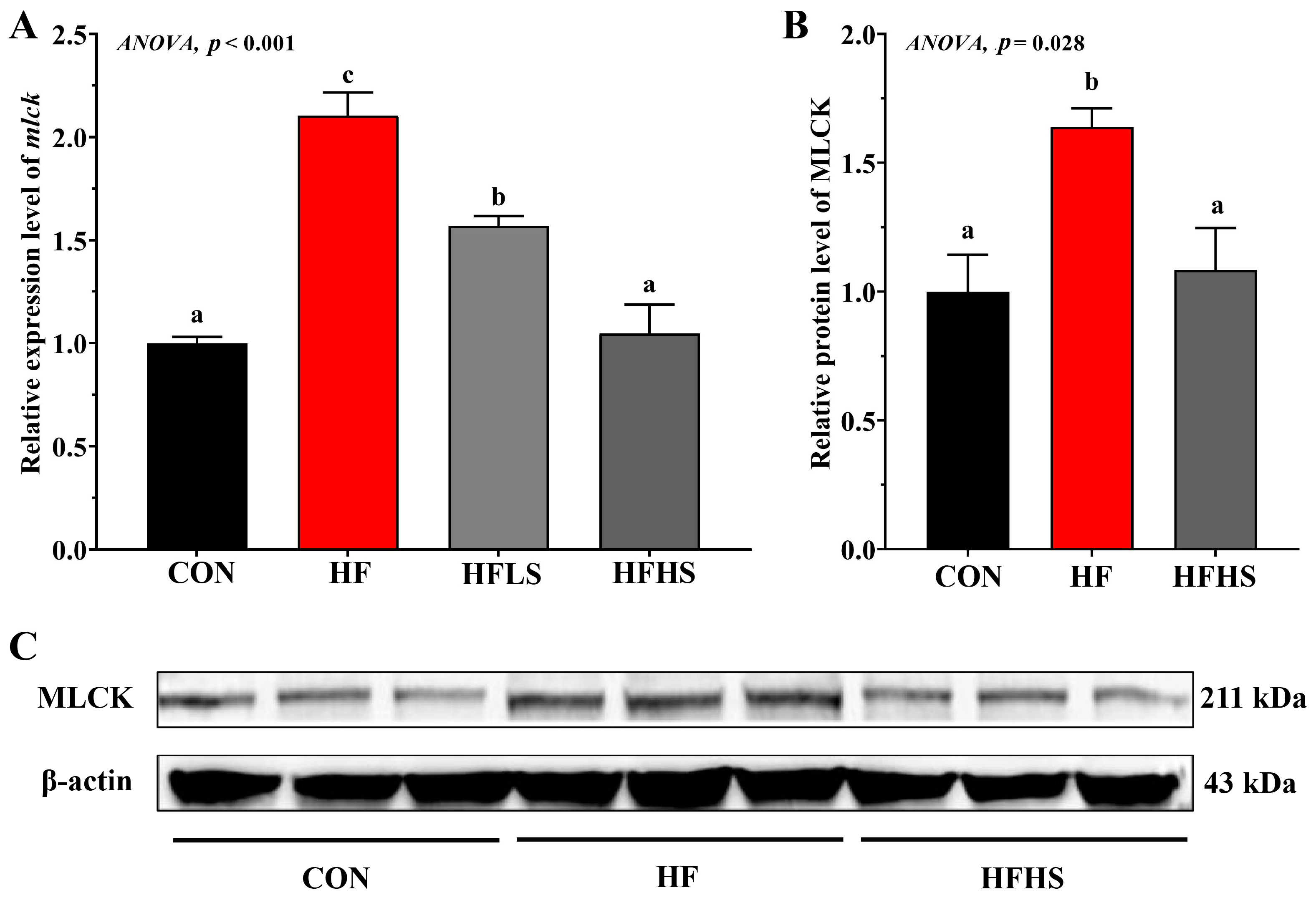 Antioxidants 12 01366 g005 Antioxidants 12 01366 g005