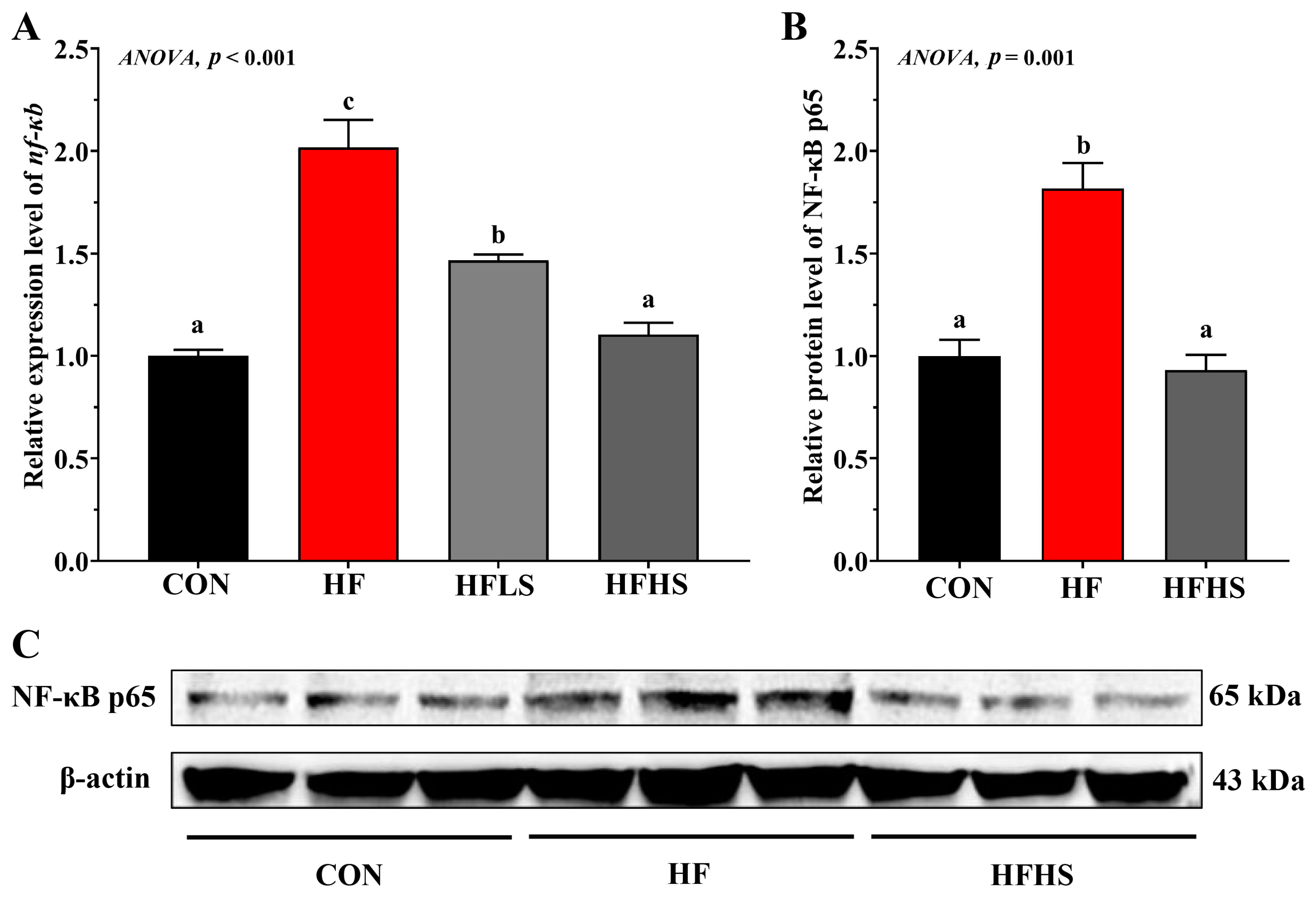 Antioxidants 12 01366 g007 Antioxidants 12 01366 g007