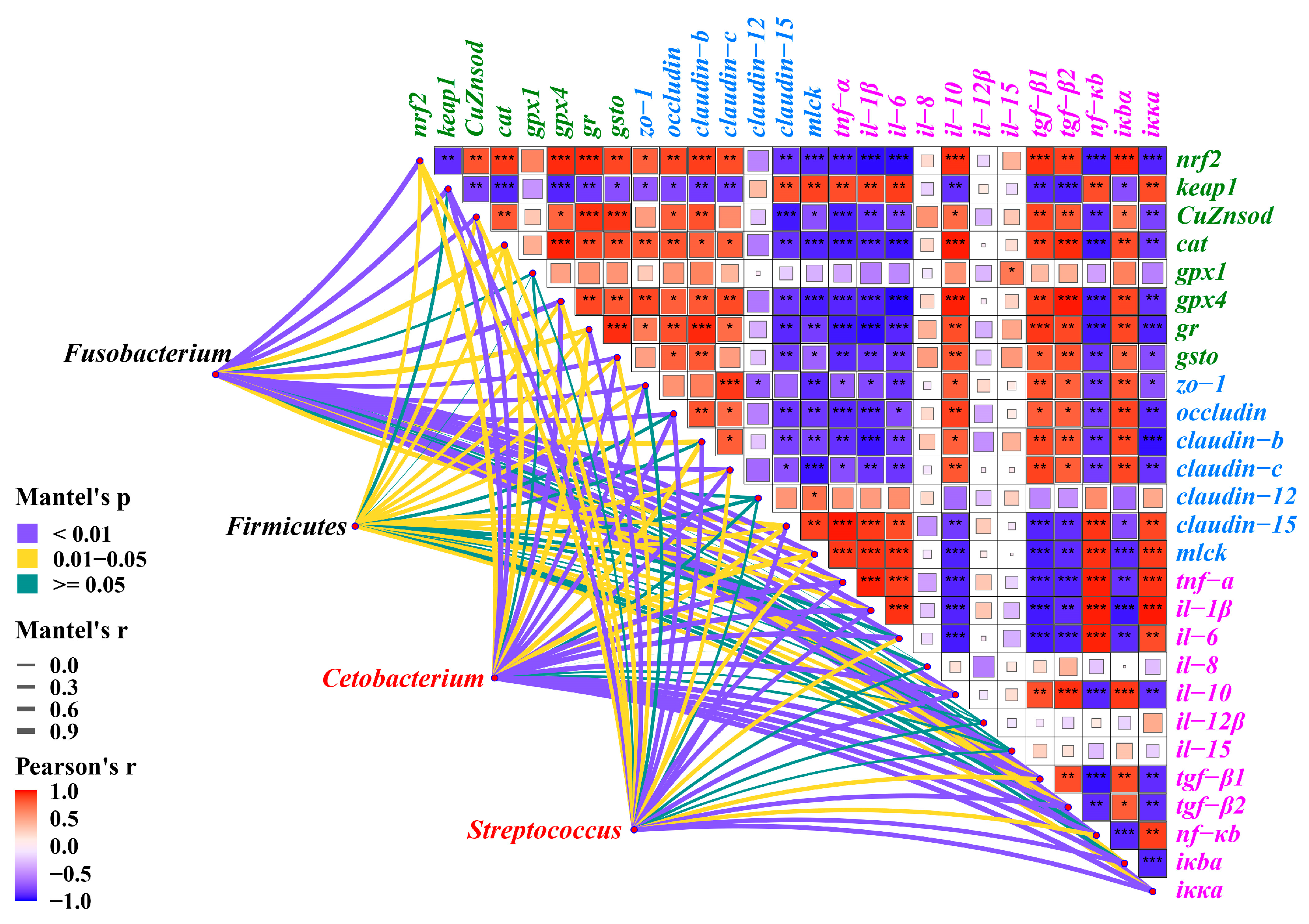 Antioxidants 12 01366 g010 Antioxidants 12 01366 g010