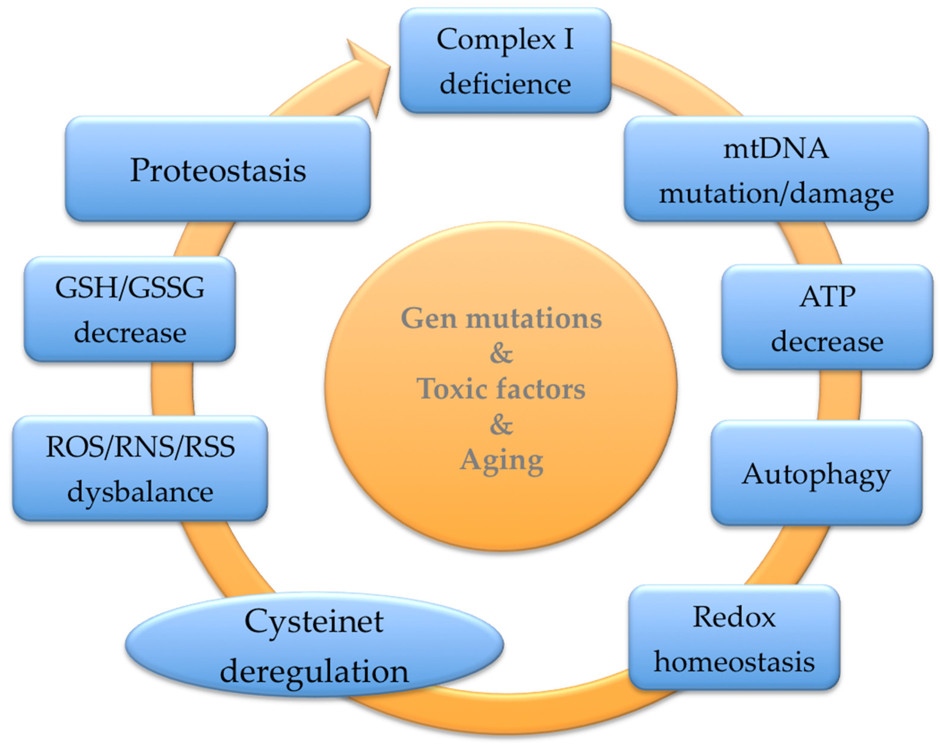 Antioxidants 12 01373 g004