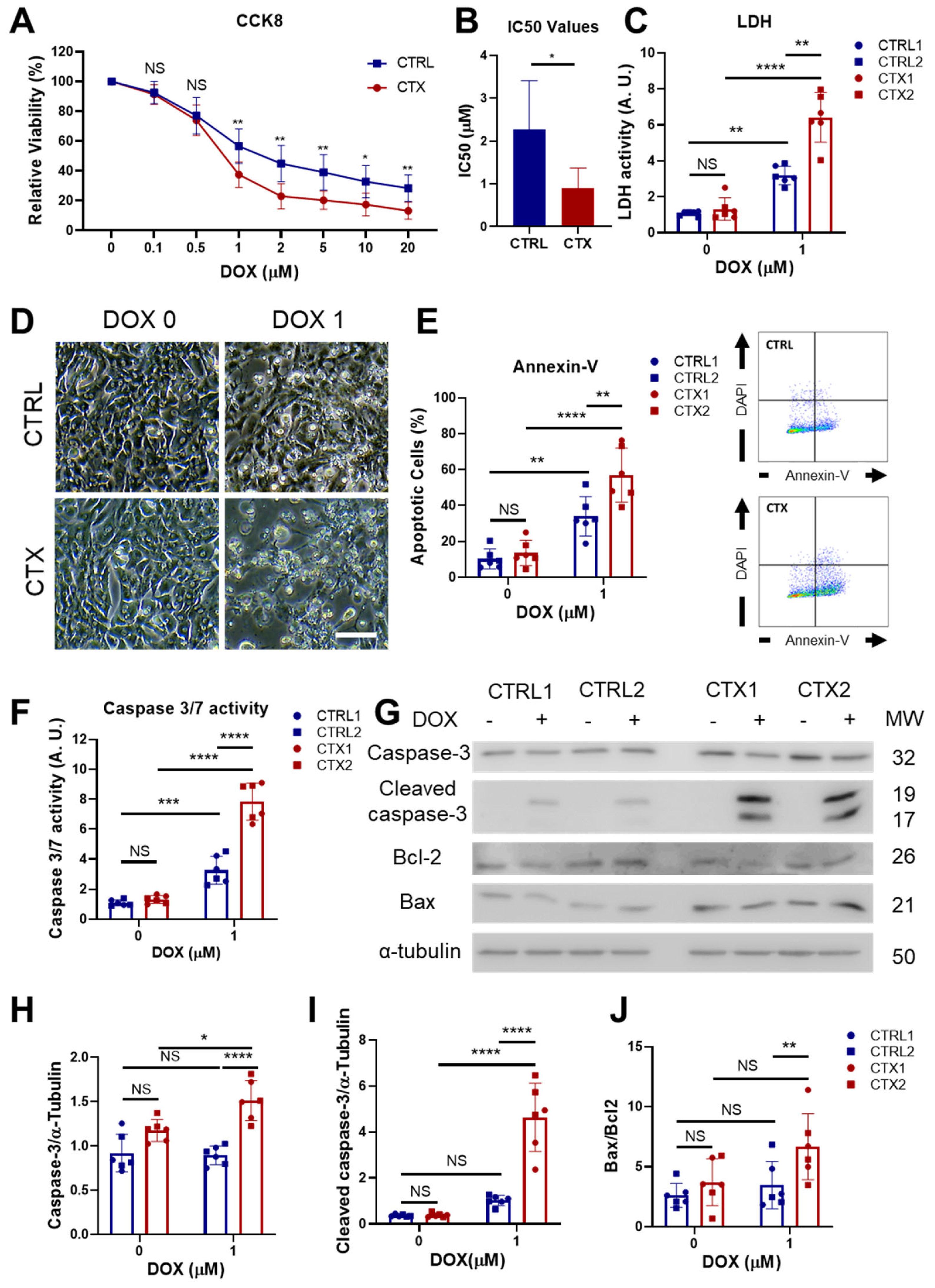 Antioxidants 12 01378 g002