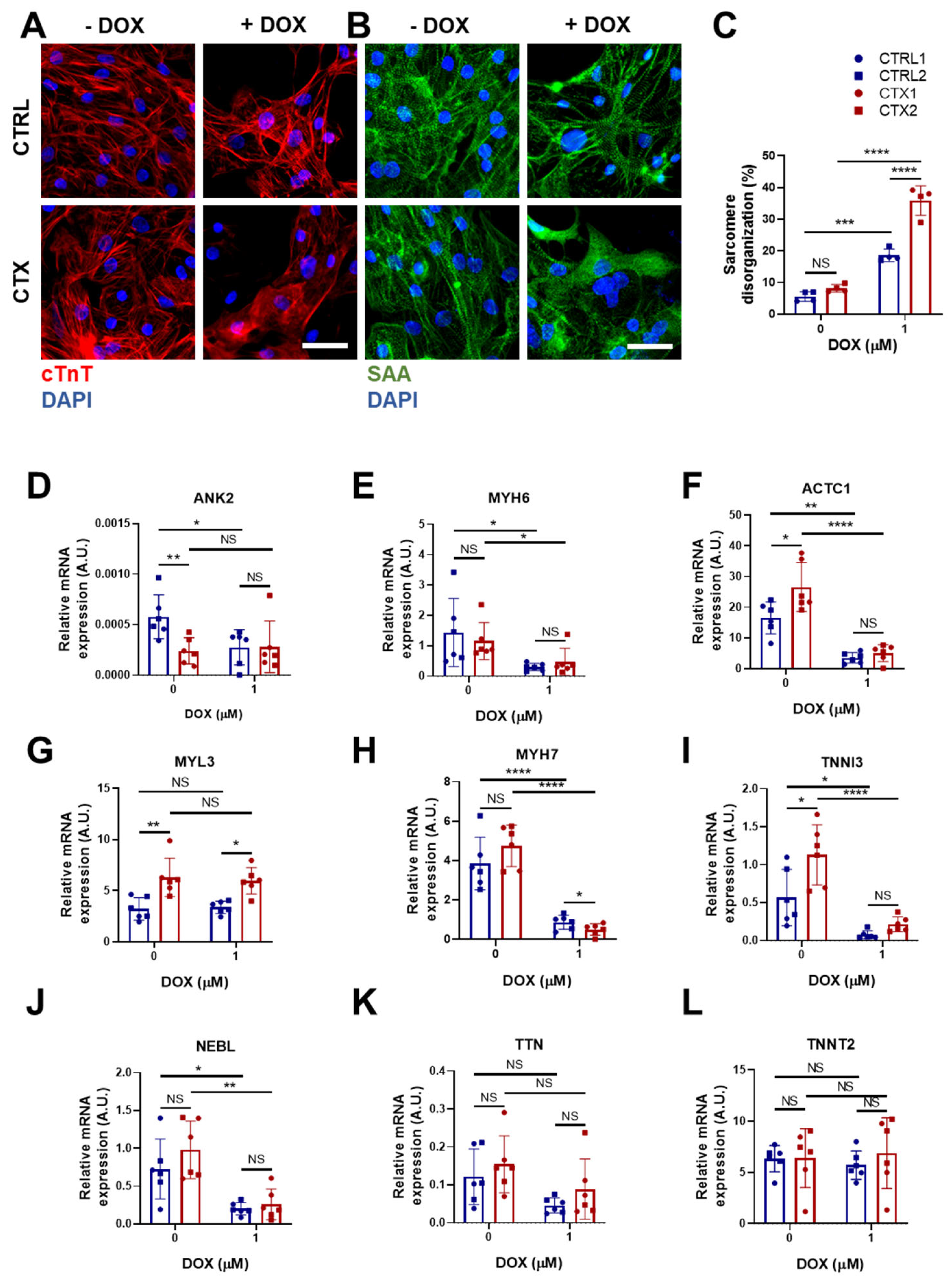 Antioxidants 12 01378 g005