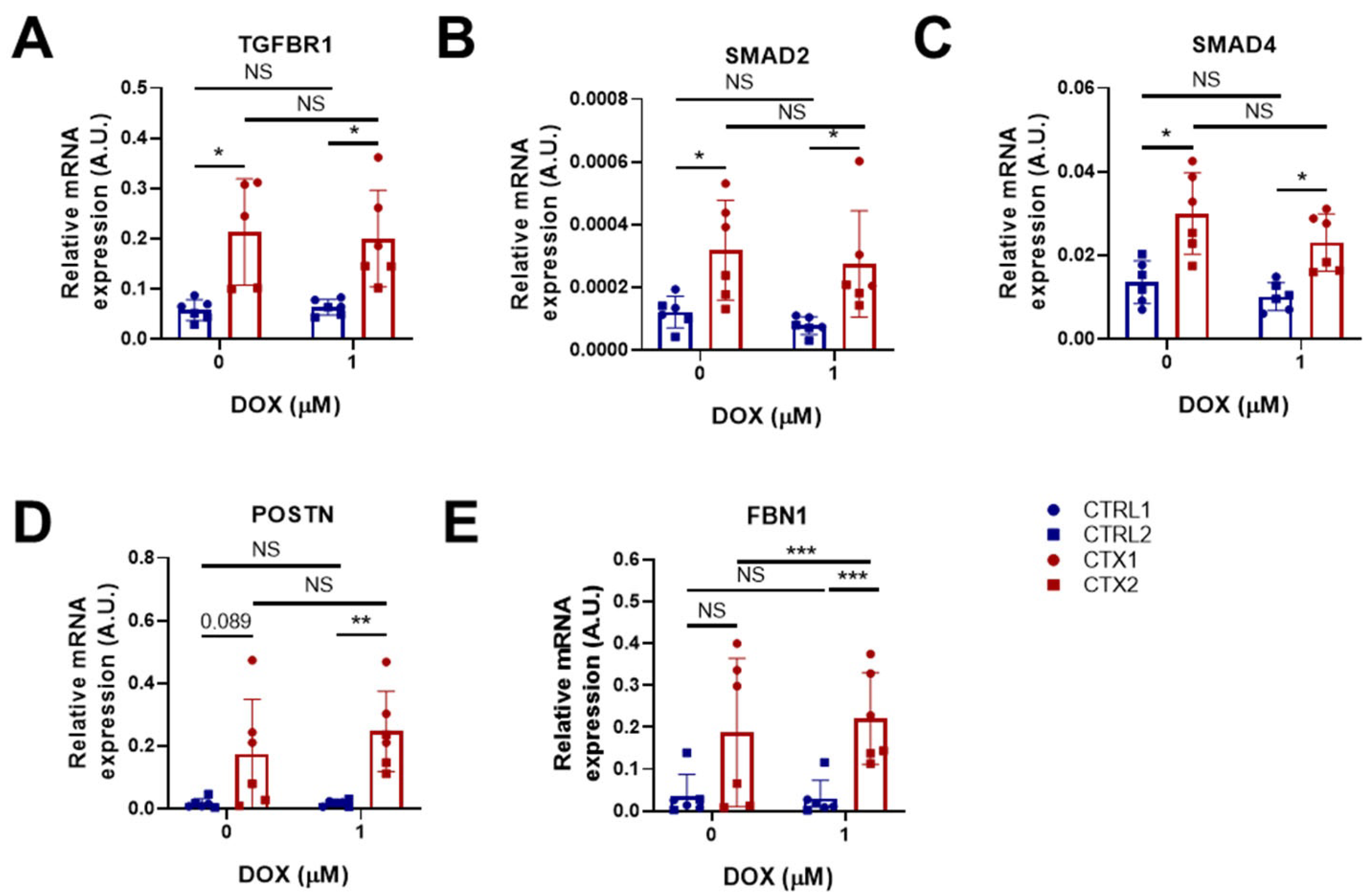 Antioxidants 12 01378 g006