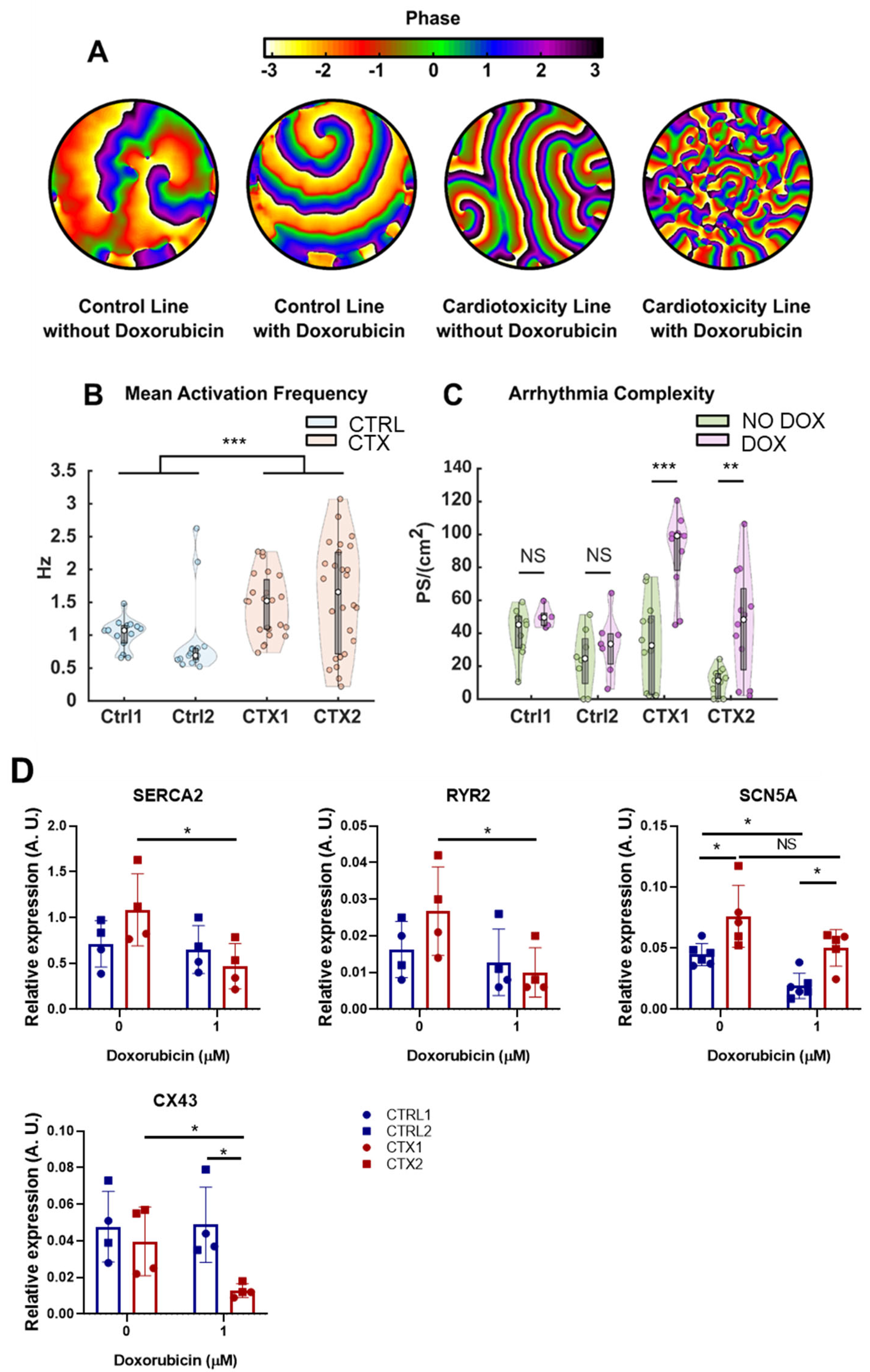Antioxidants 12 01378 g007