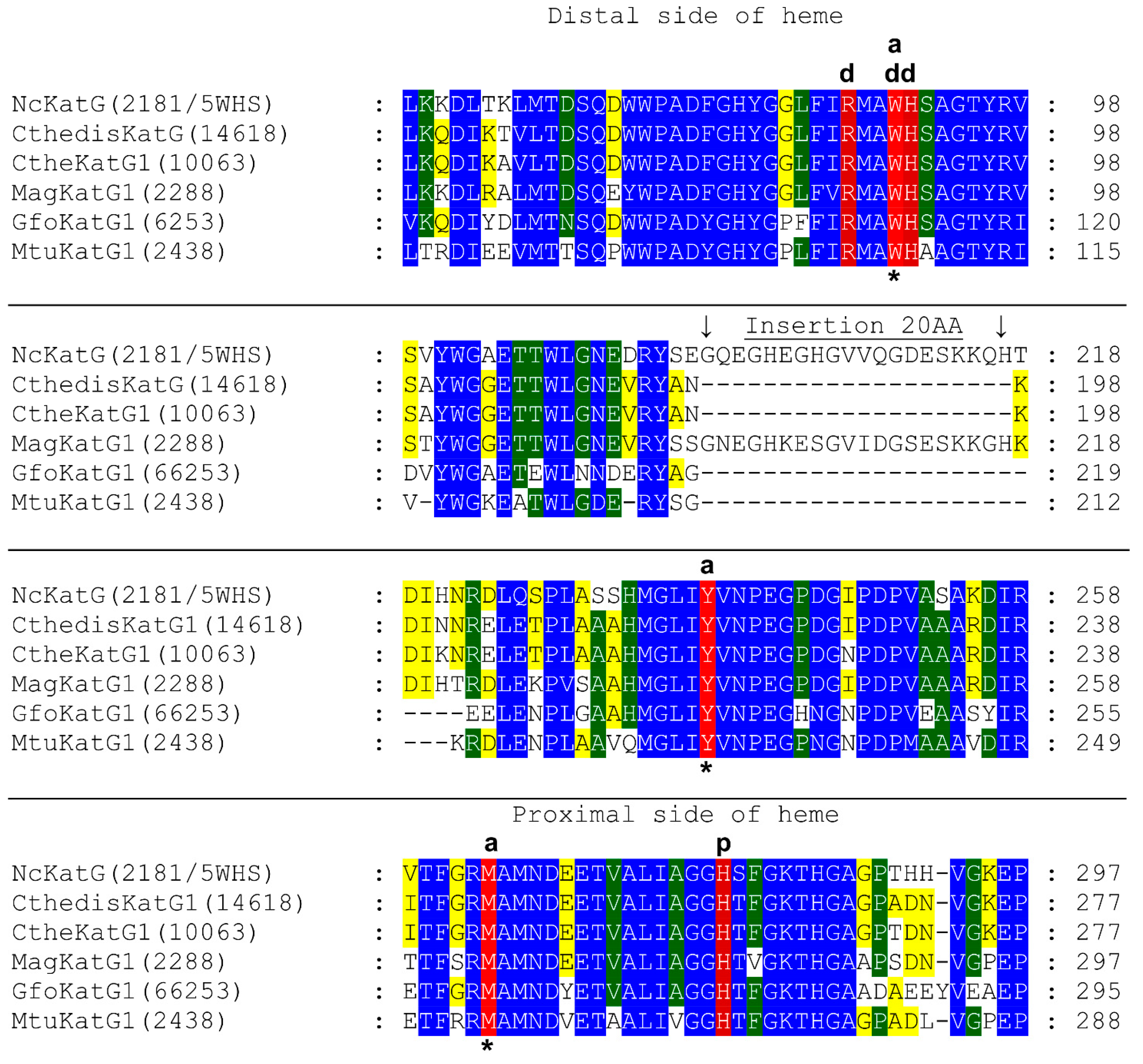 Antioxidants 12 01382 g001