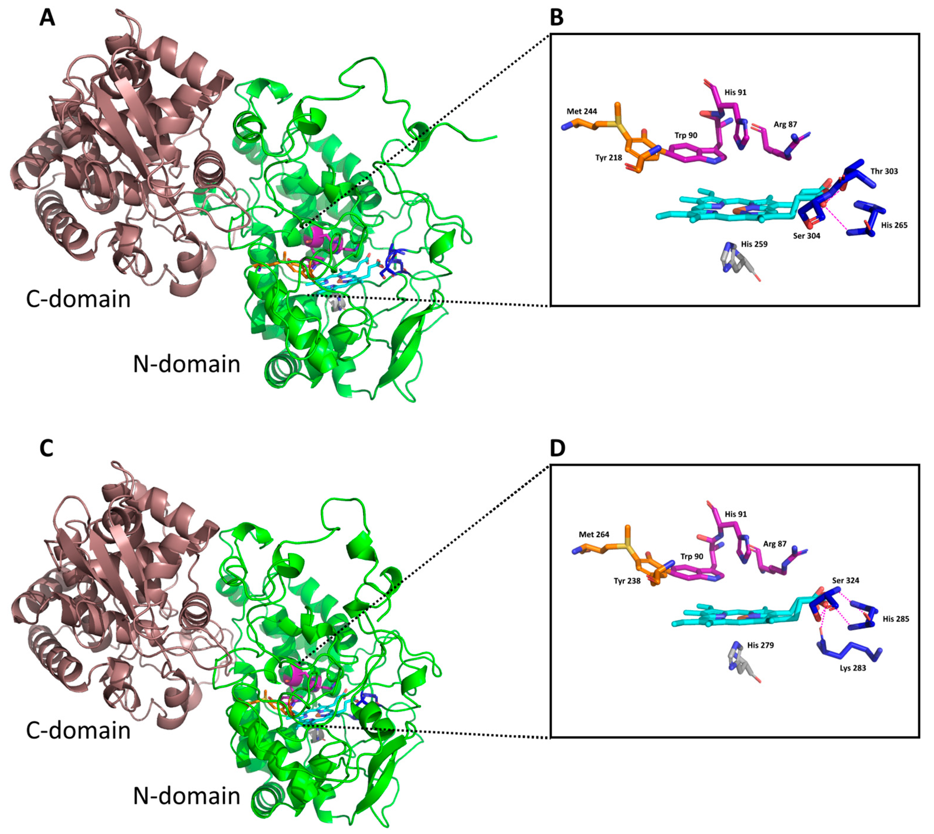 Antioxidants 12 01382 g002