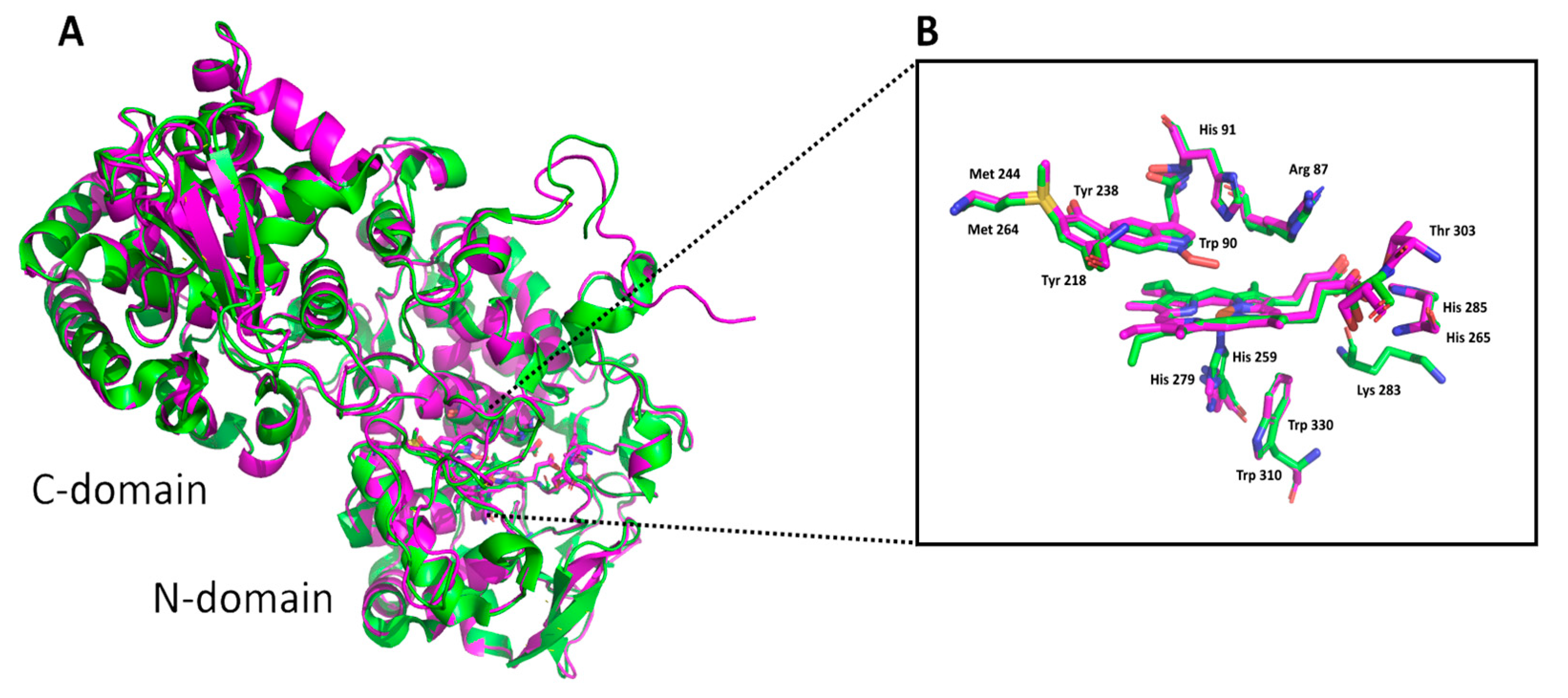 Antioxidants 12 01382 g003