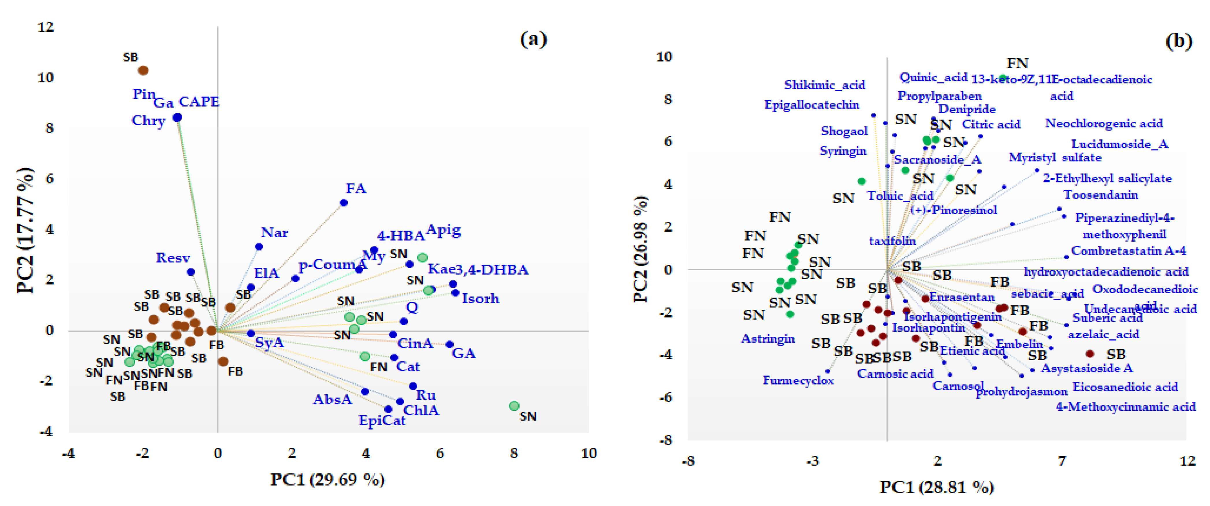 Antioxidants 12 01383 g003
