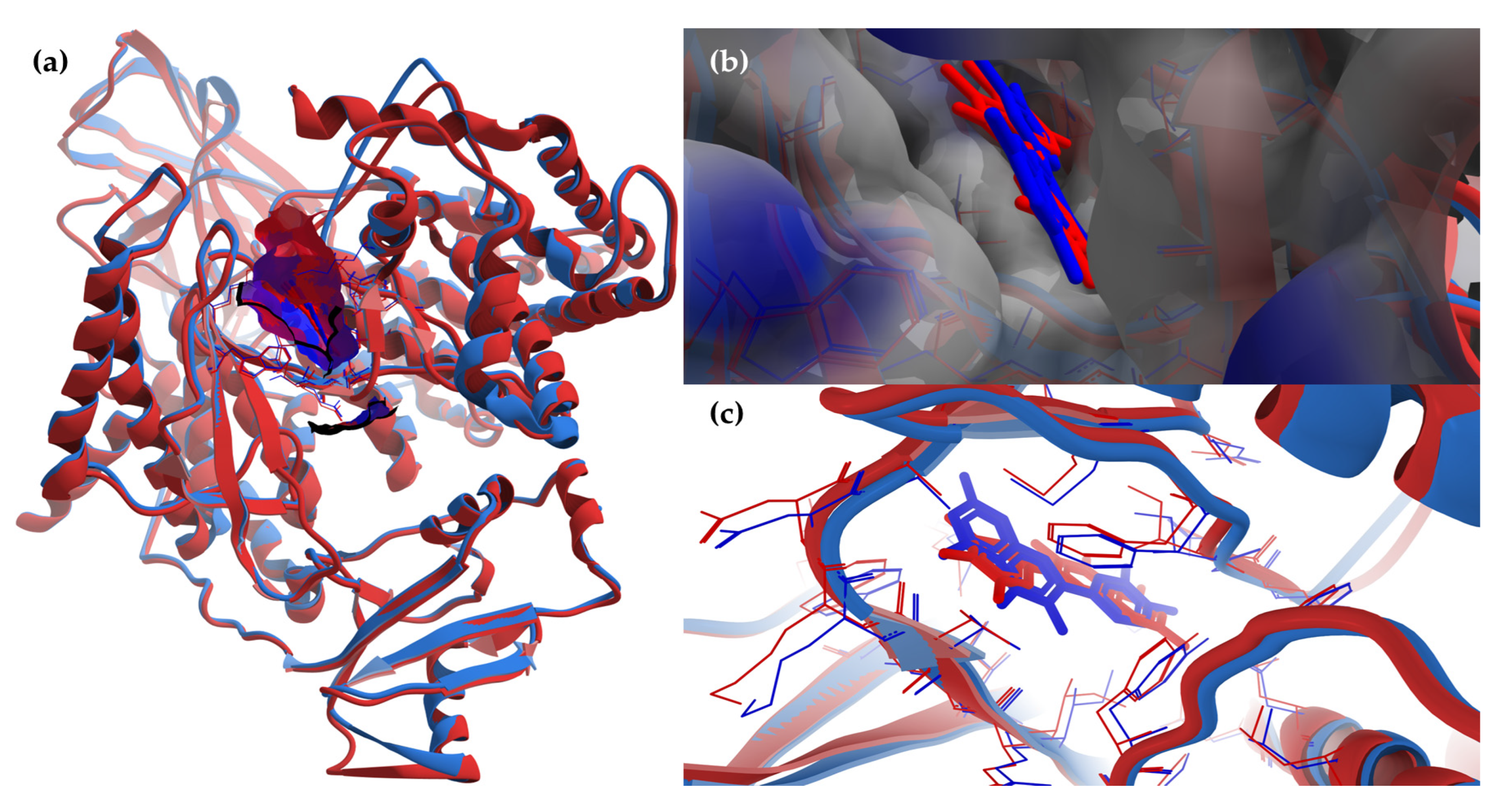 Antioxidants 12 01383 g008