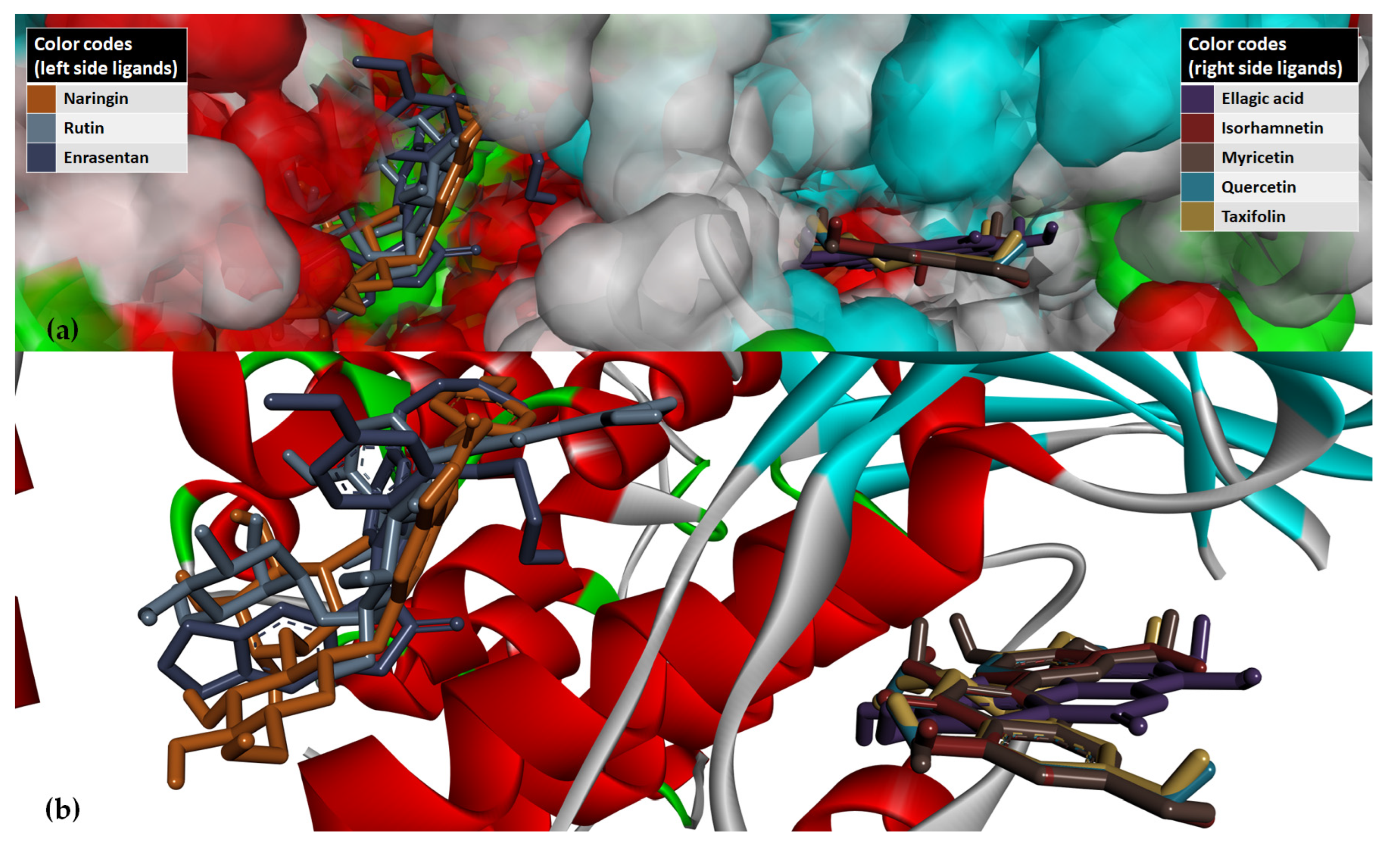 Antioxidants 12 01383 g011