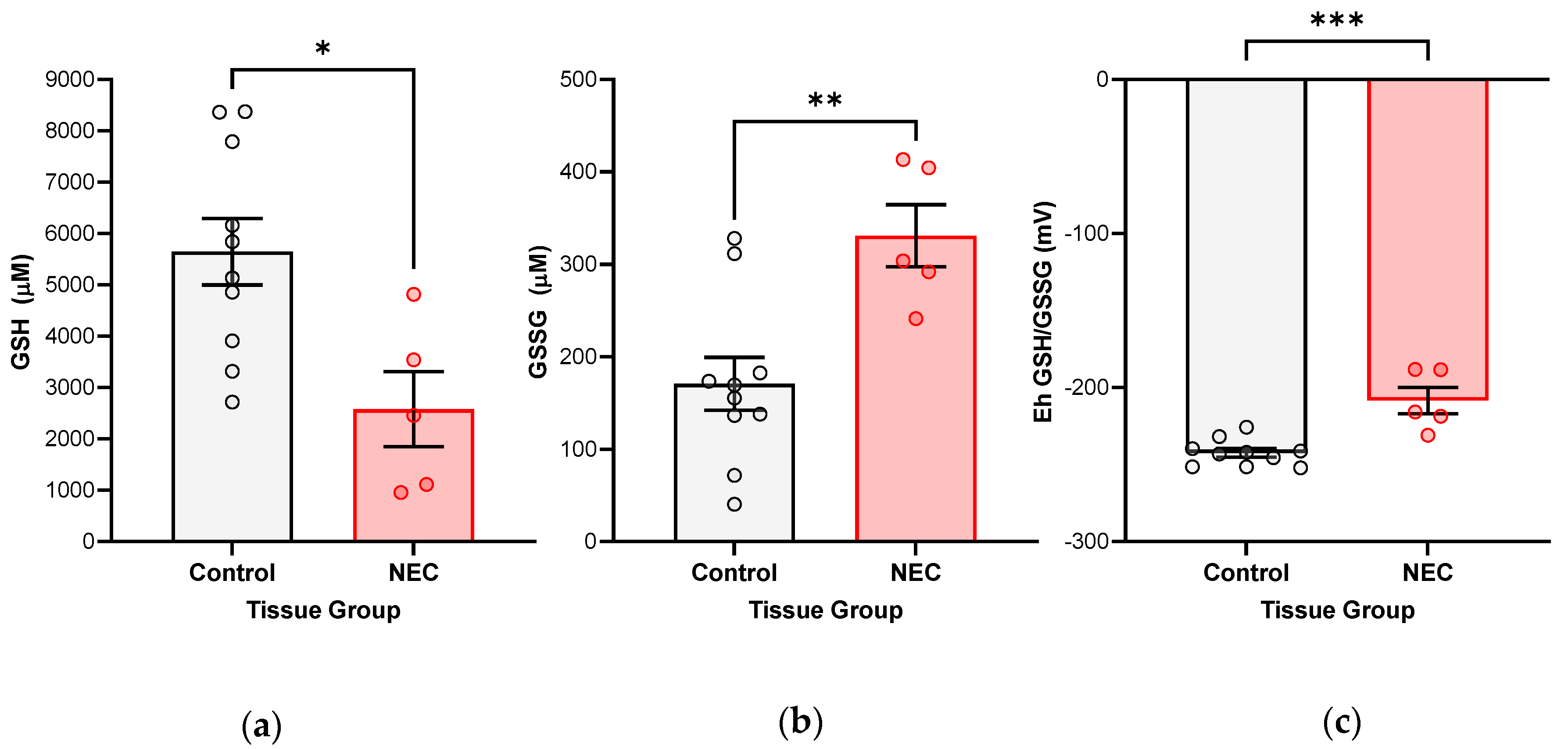 Antioxidants 12 01385 g001
