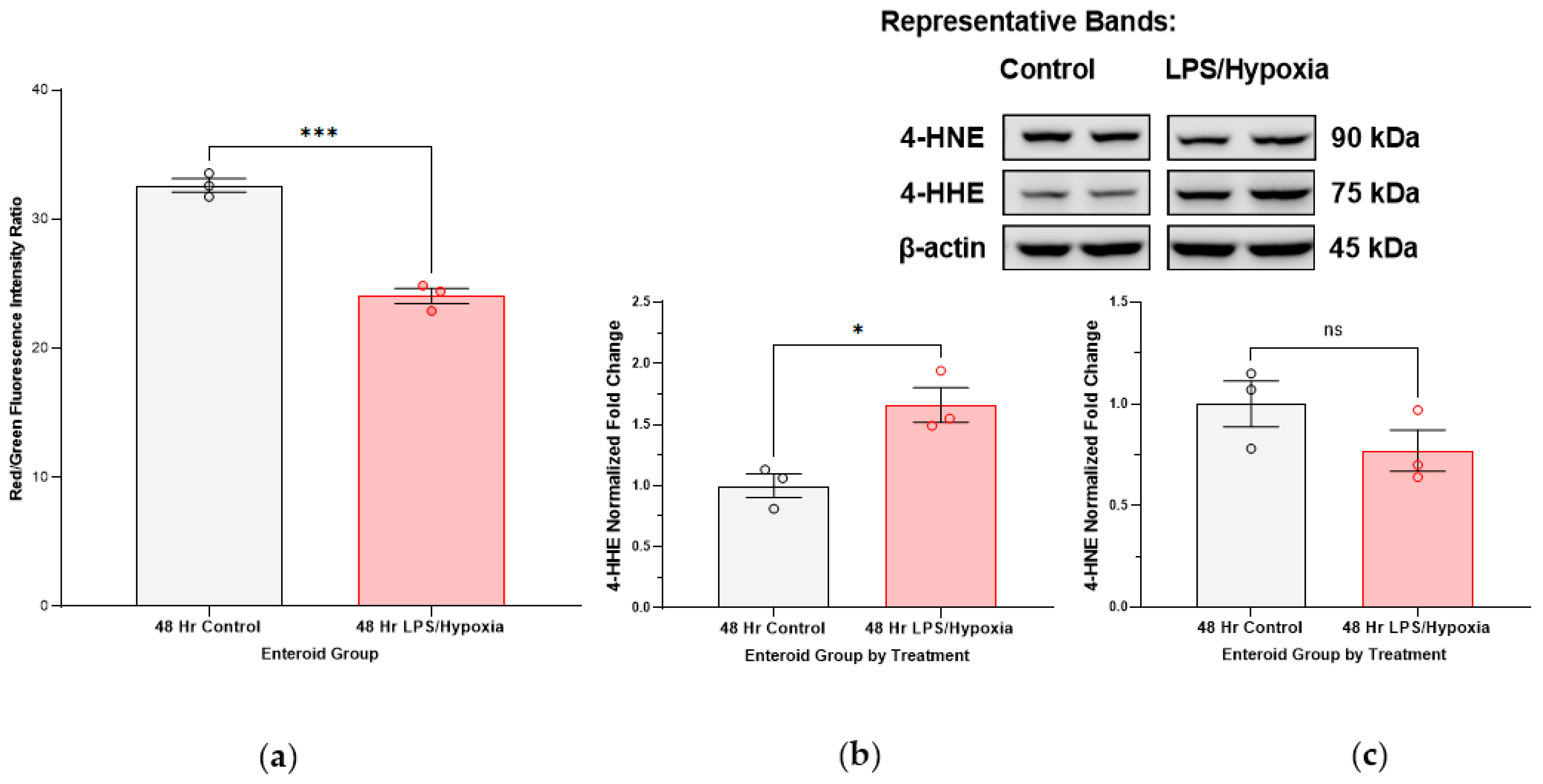 Antioxidants 12 01385 g004