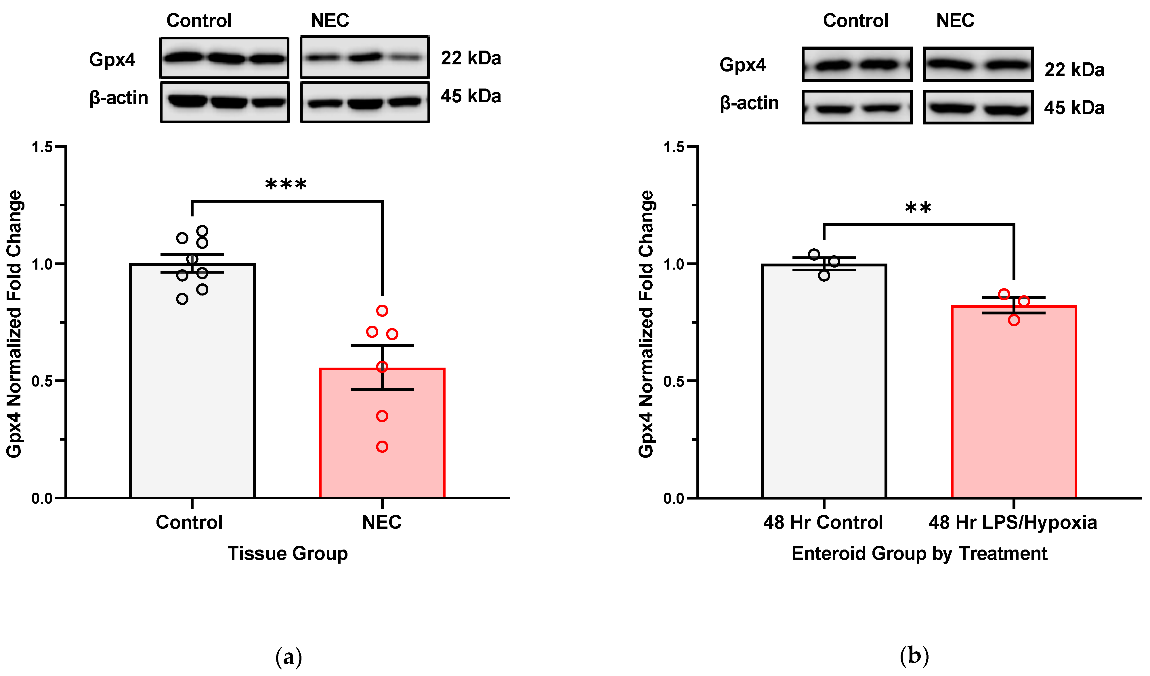 Antioxidants 12 01385 g005