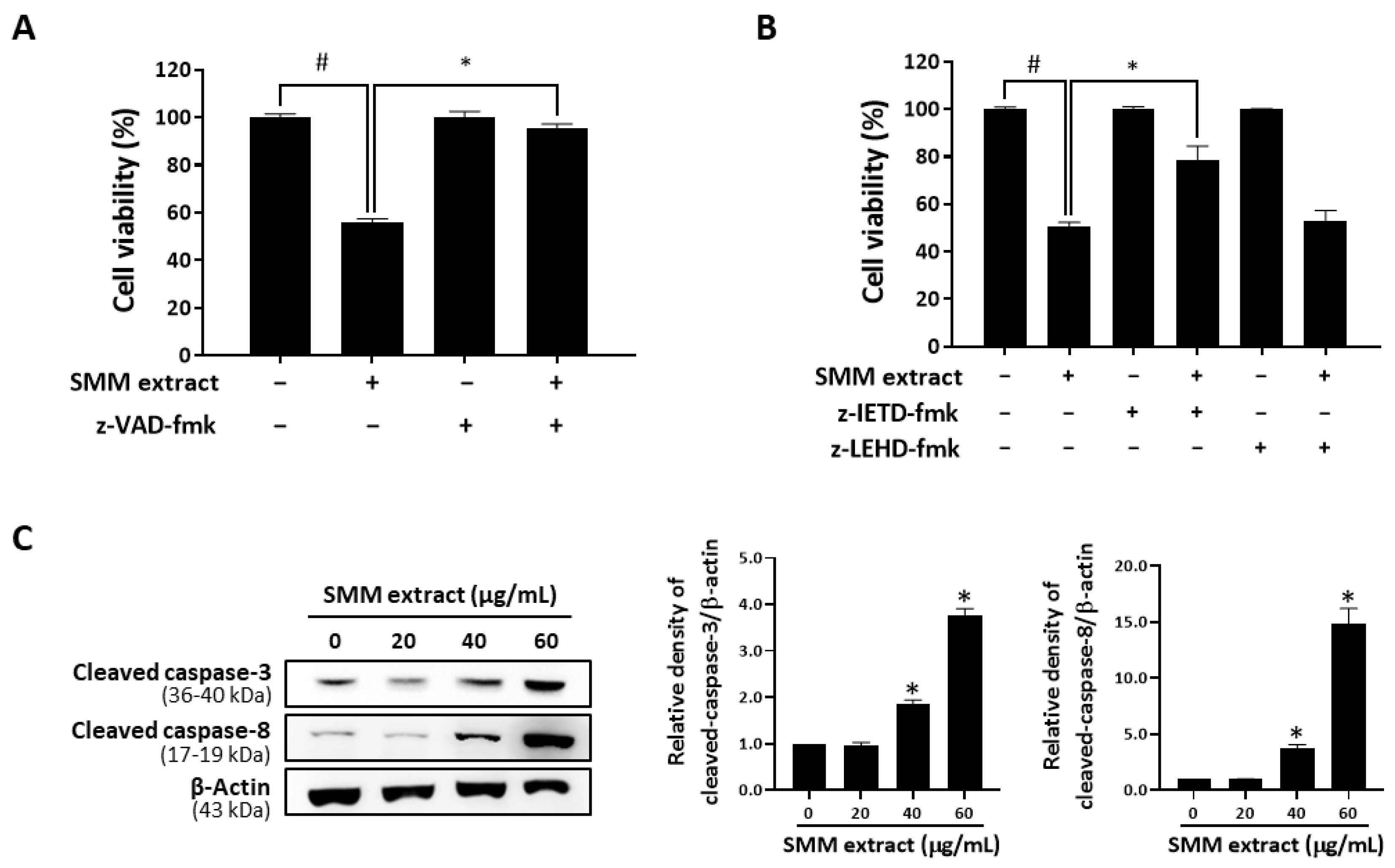 Antioxidants 12 01386 g003