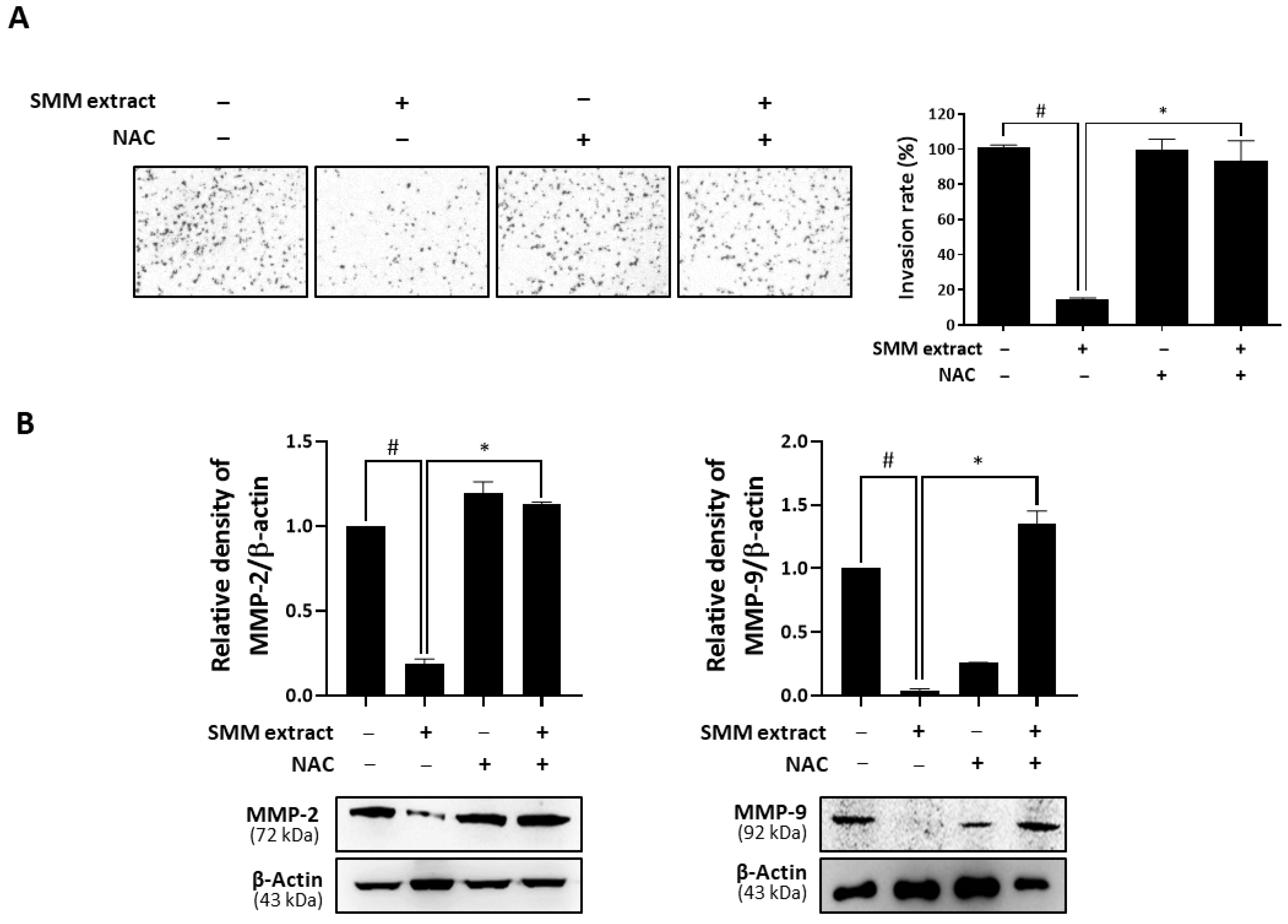 Antioxidants 12 01386 g006