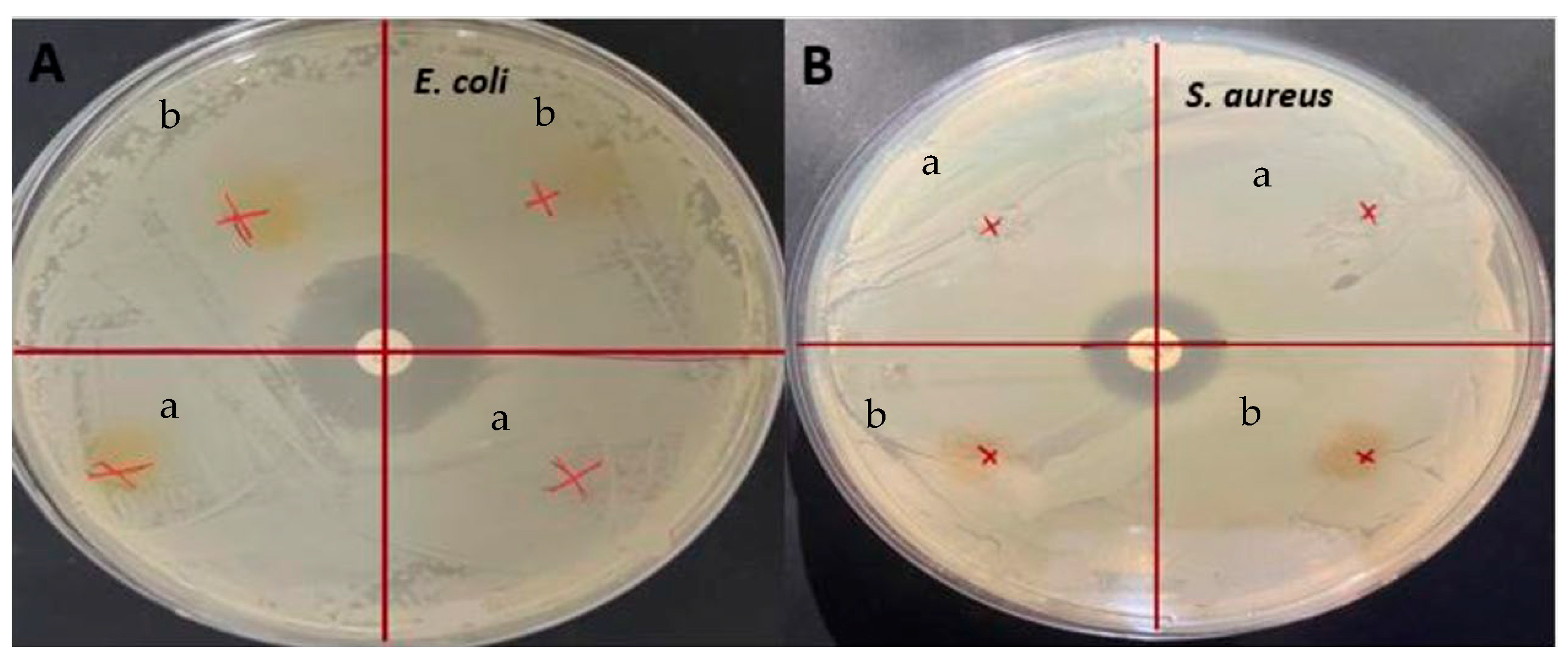 Antioxidants 12 01387 g006