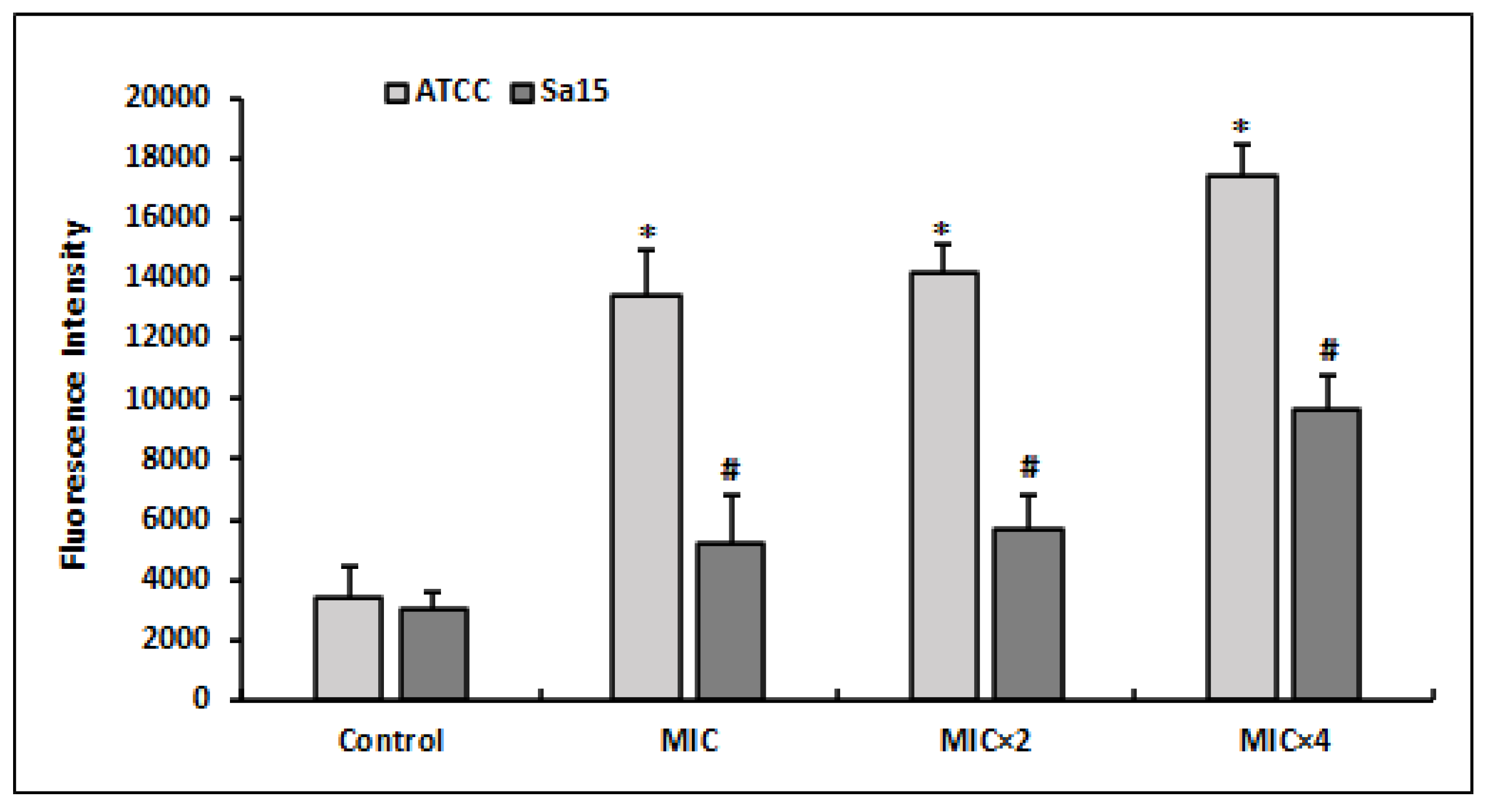 Antioxidants 12 01388 g002