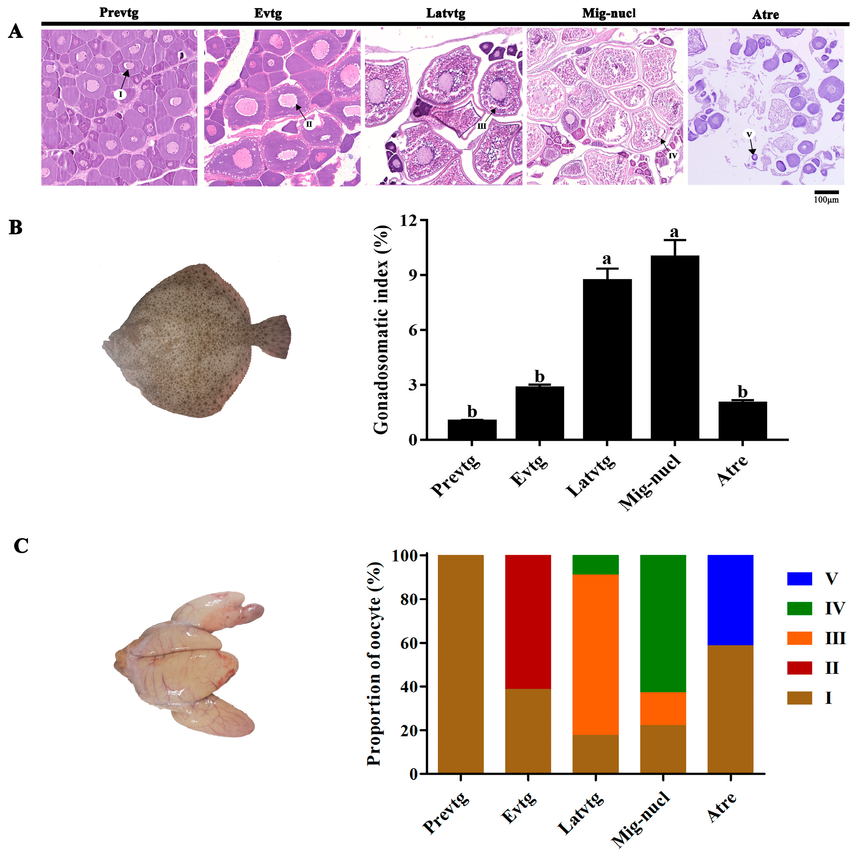 Antioxidants 12 01389 g001