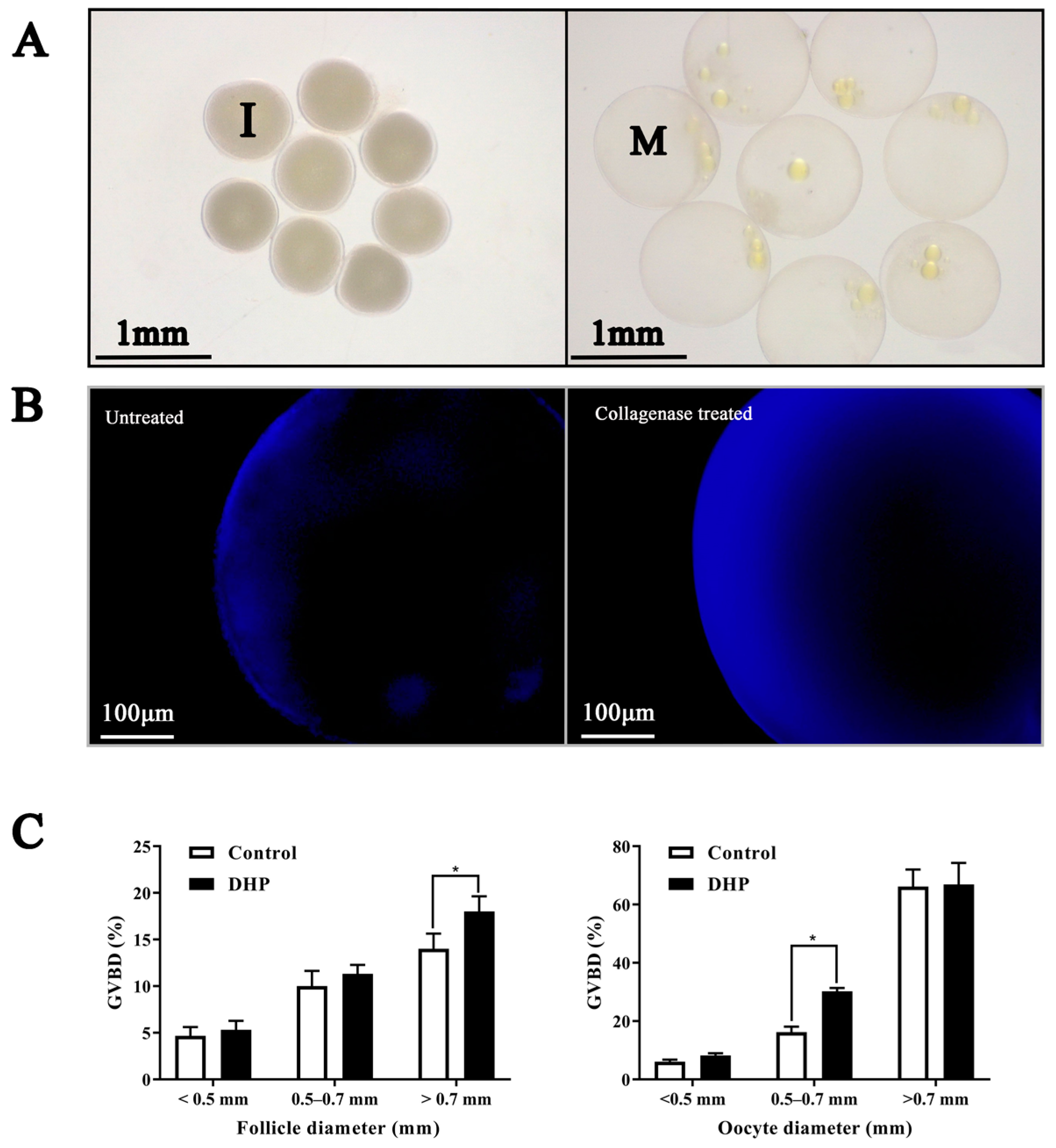 Antioxidants 12 01389 g002