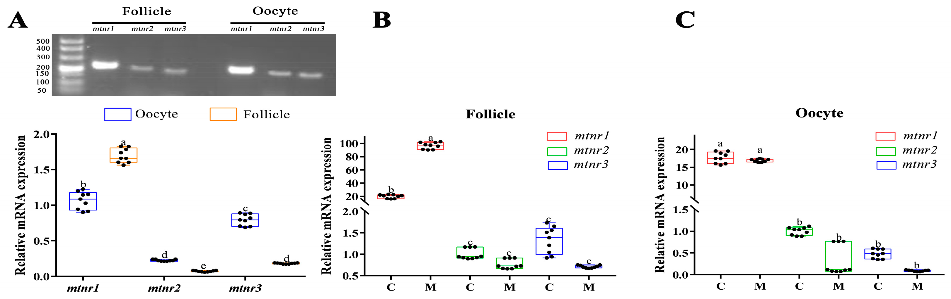 Antioxidants 12 01389 g004