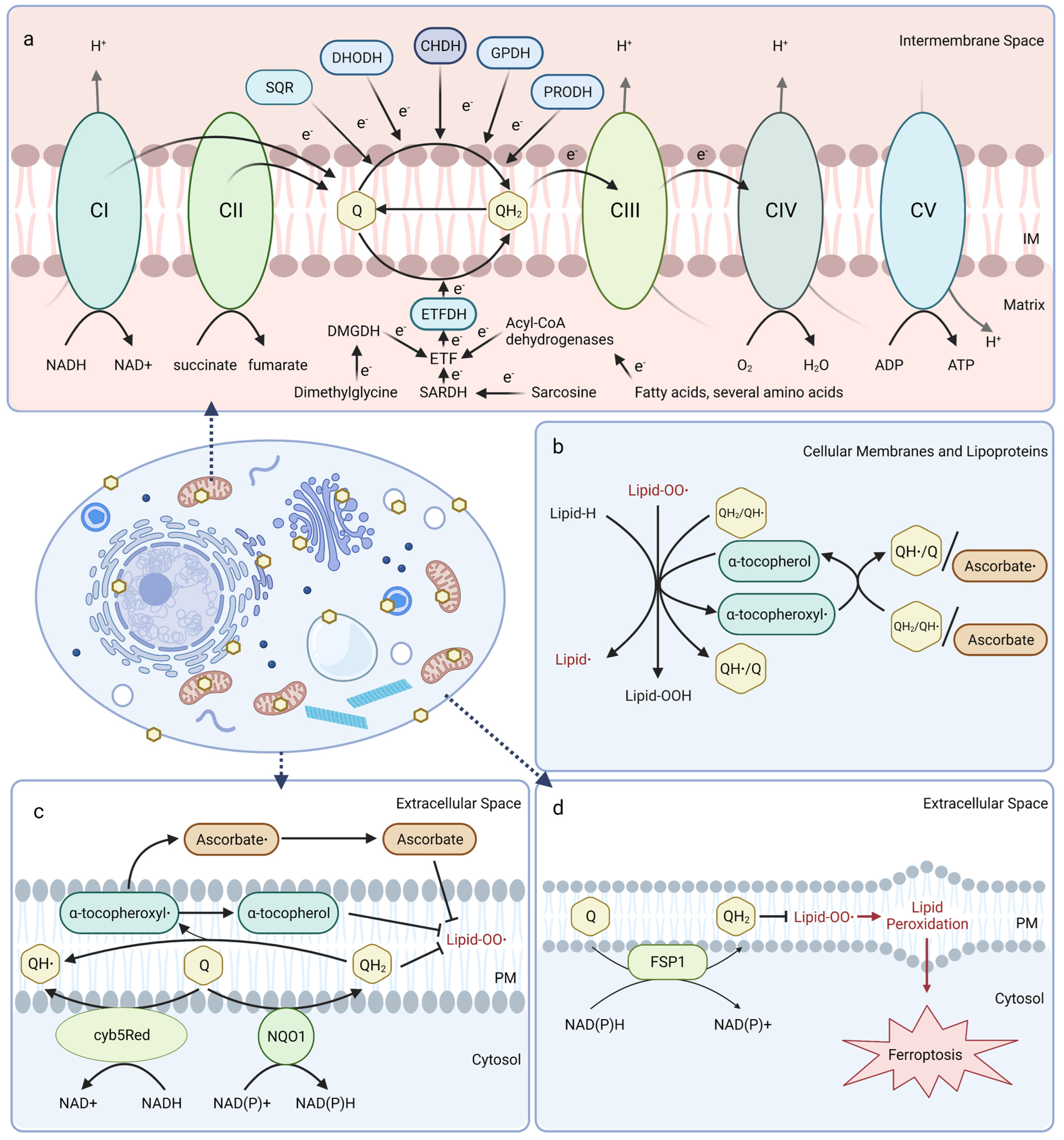 Antioxidants 12 01391 g001