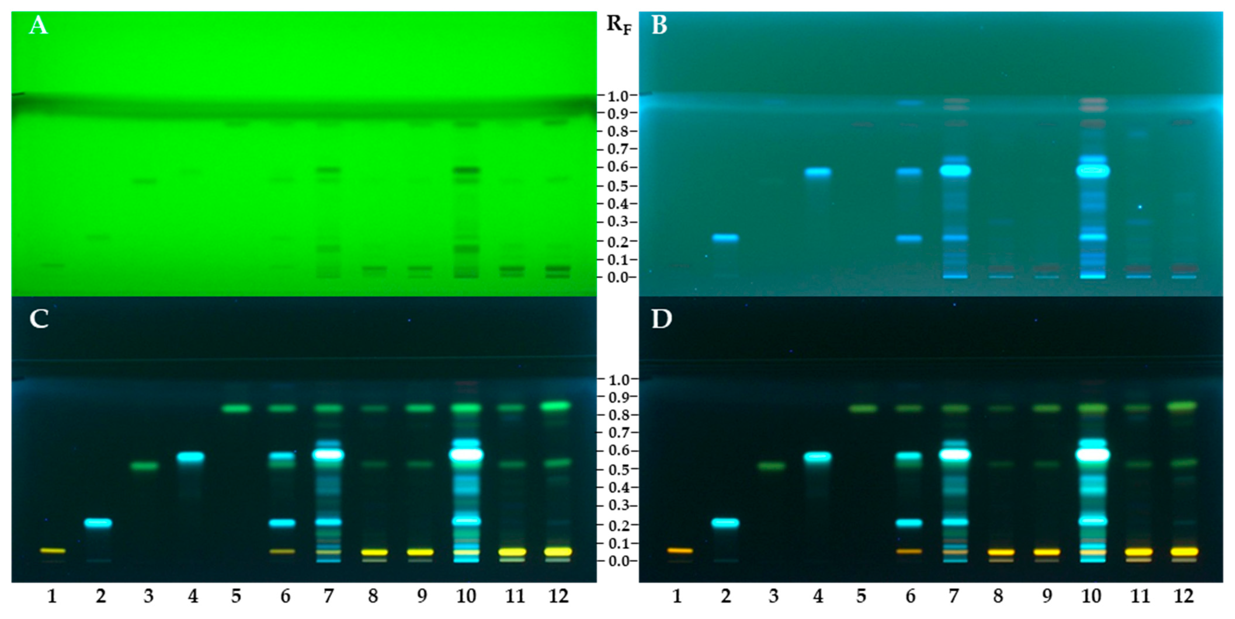 Antioxidants 12 01394 g002 Antioxidants 12 01394 g002