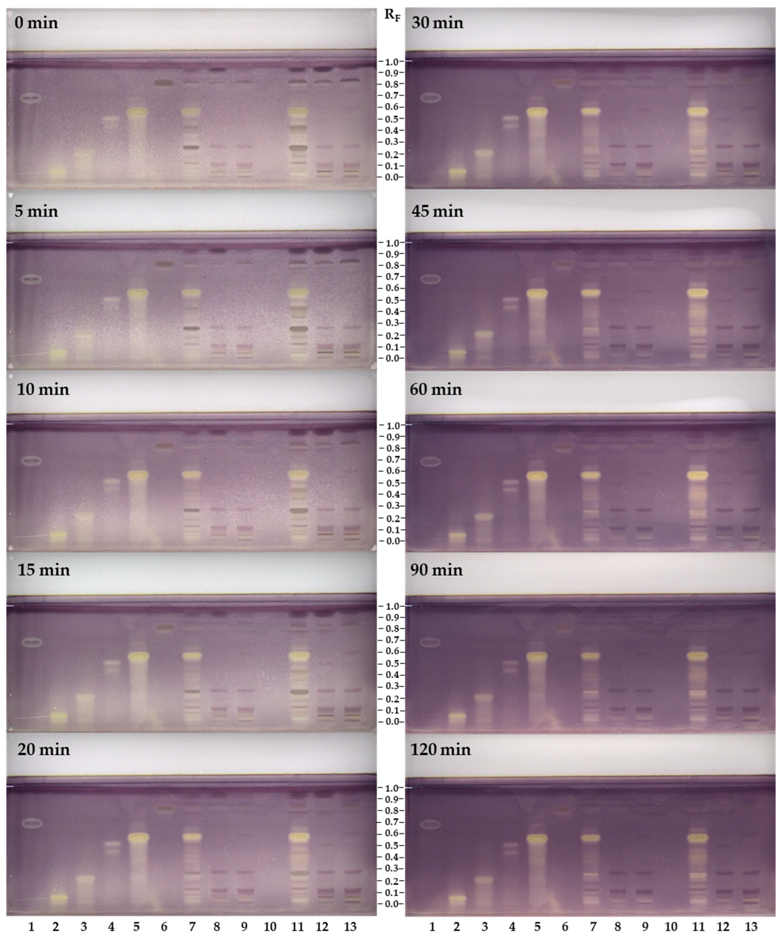 Antioxidants 12 01394 g007 Antioxidants 12 01394 g007