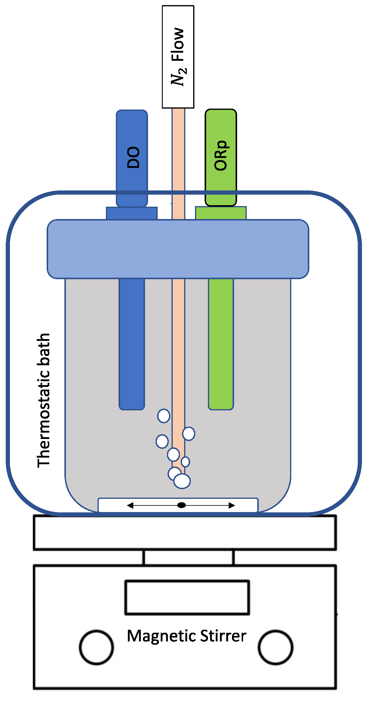 Antioxidants 12 01399 g001