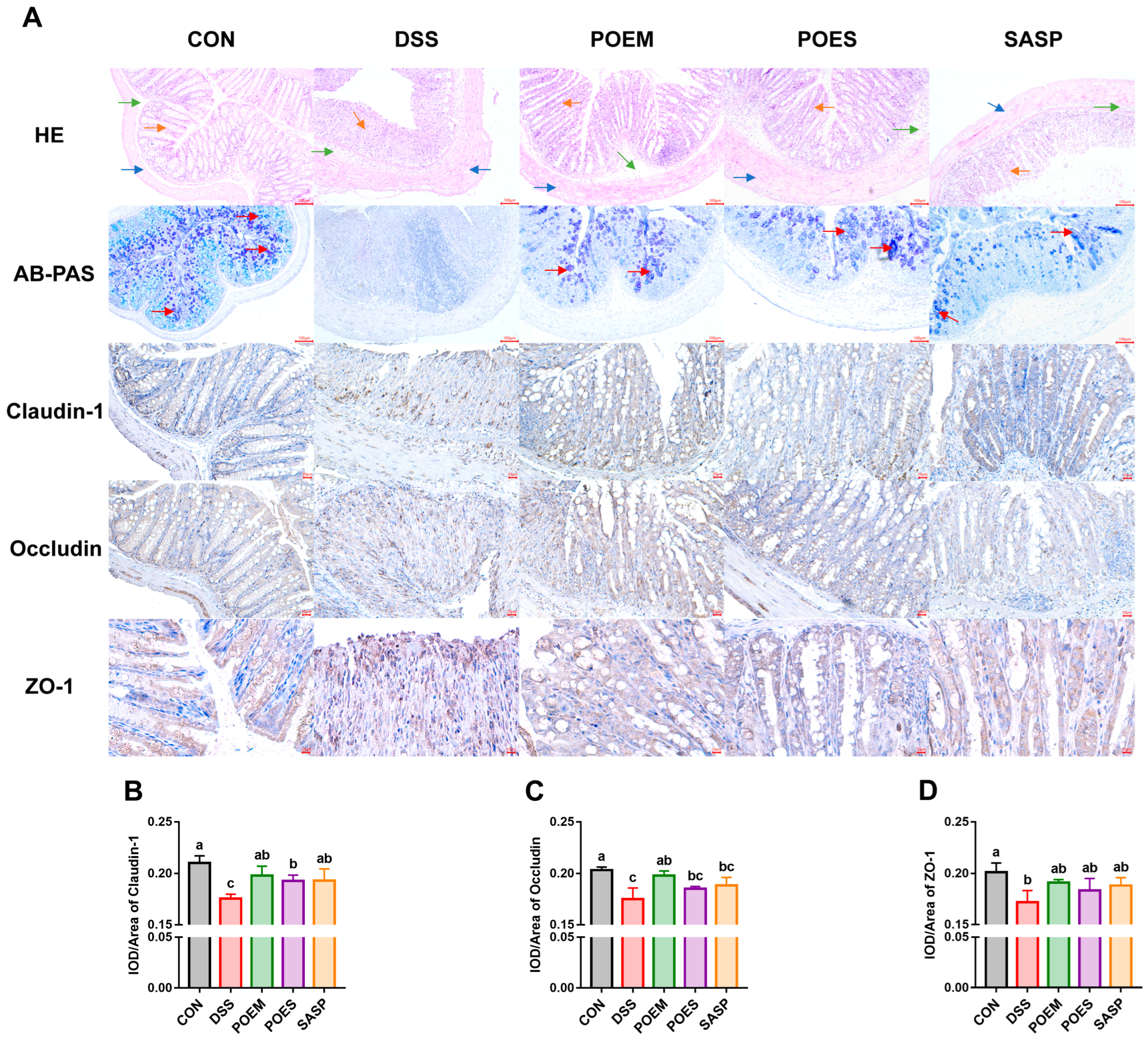 Antioxidants 12 01400 g005