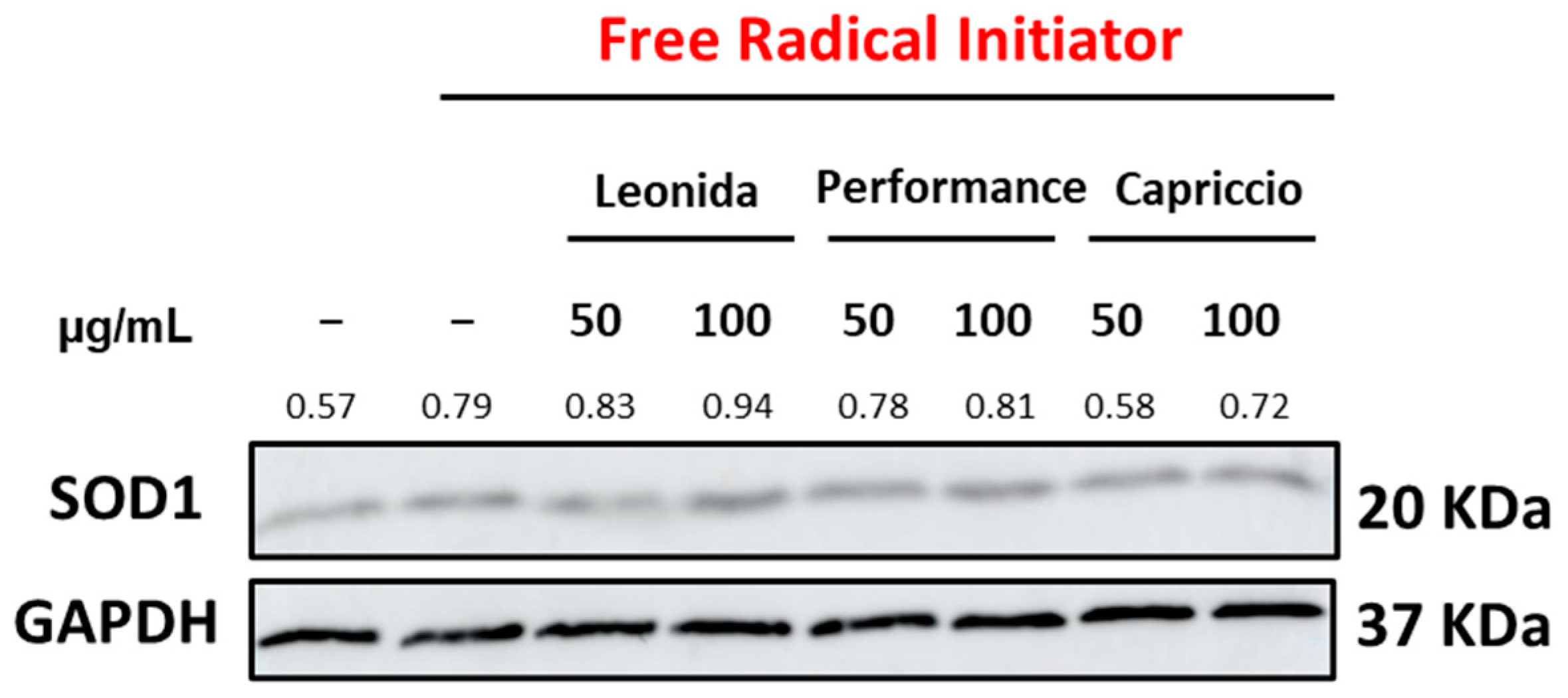 Antioxidants 12 01402 g009