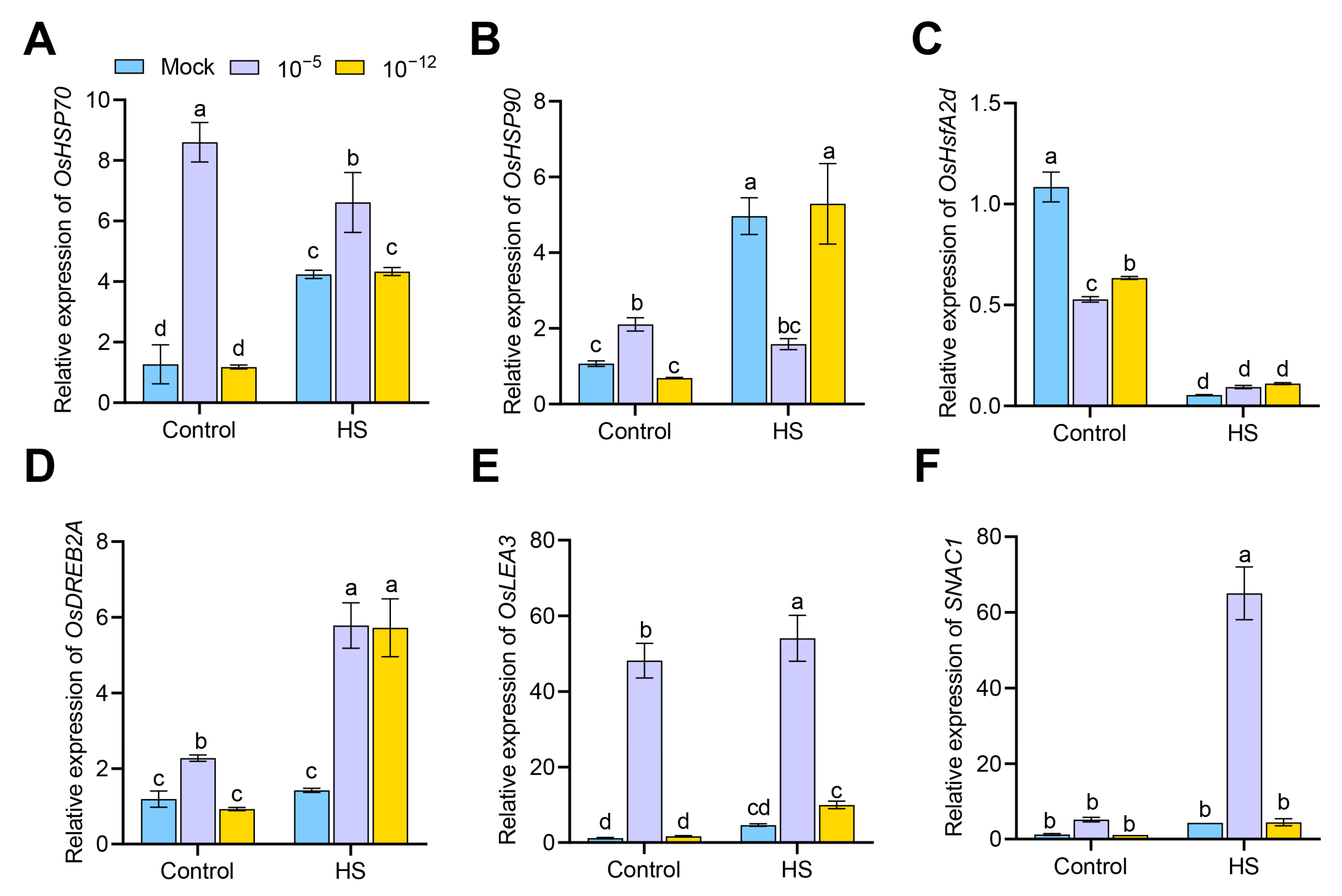 Antioxidants 12 01404 g006