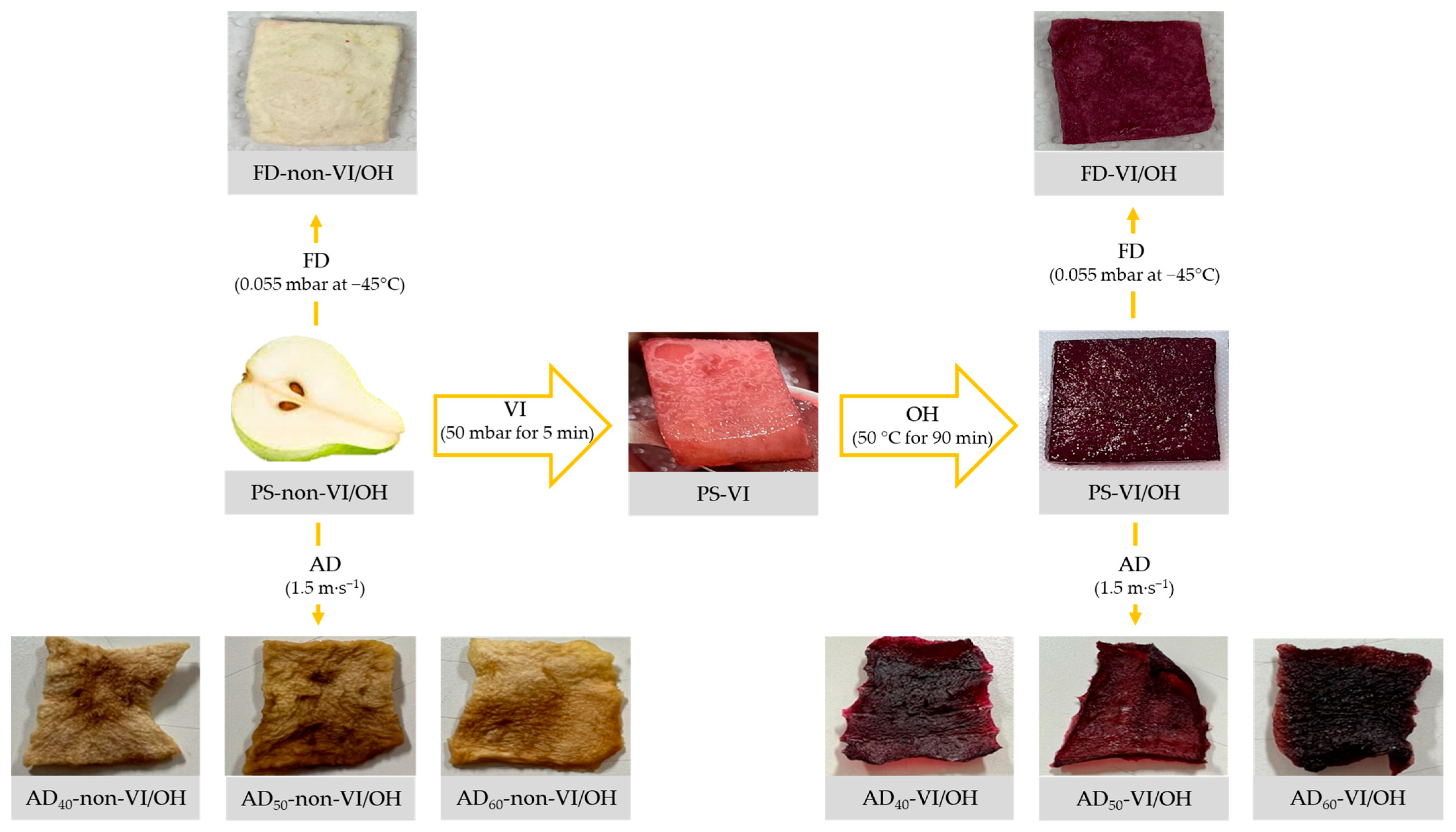 Antioxidants 12 01408 g001