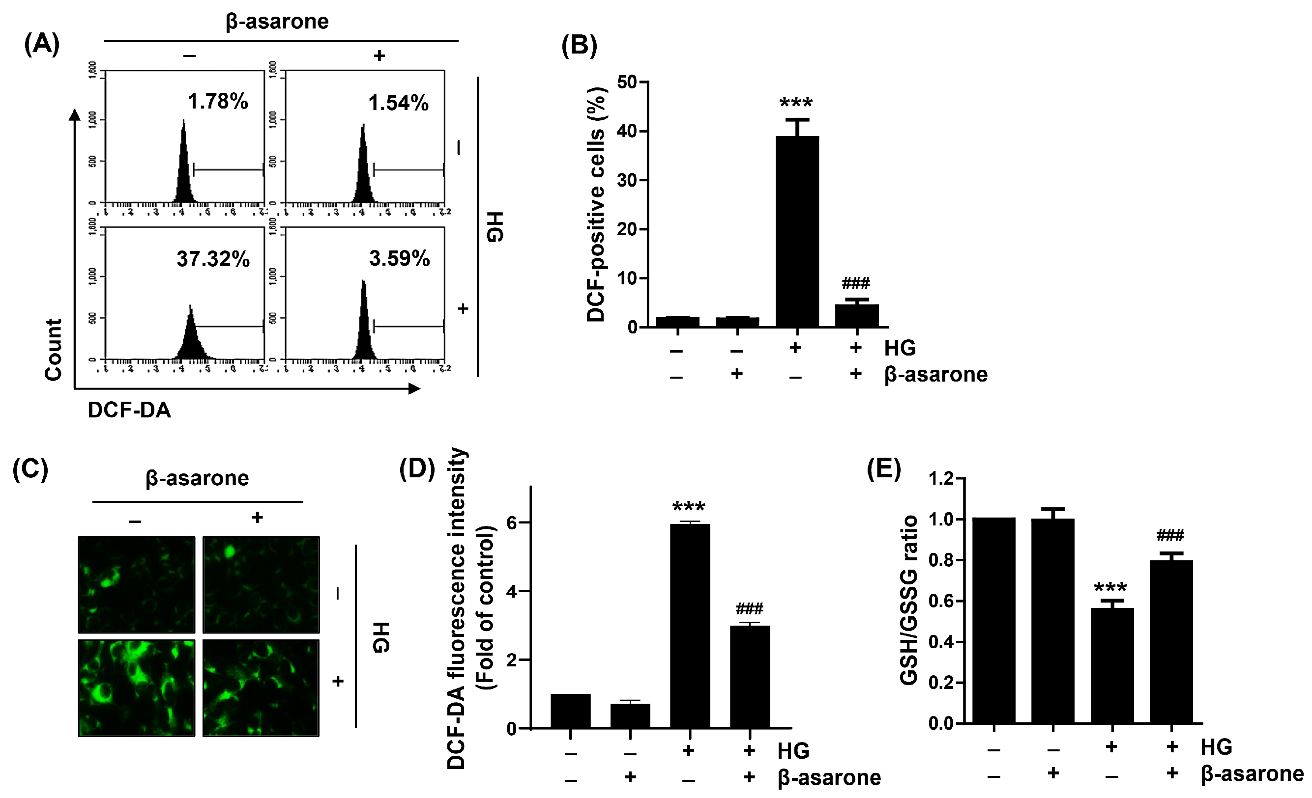 Antioxidants 12 01410 g003