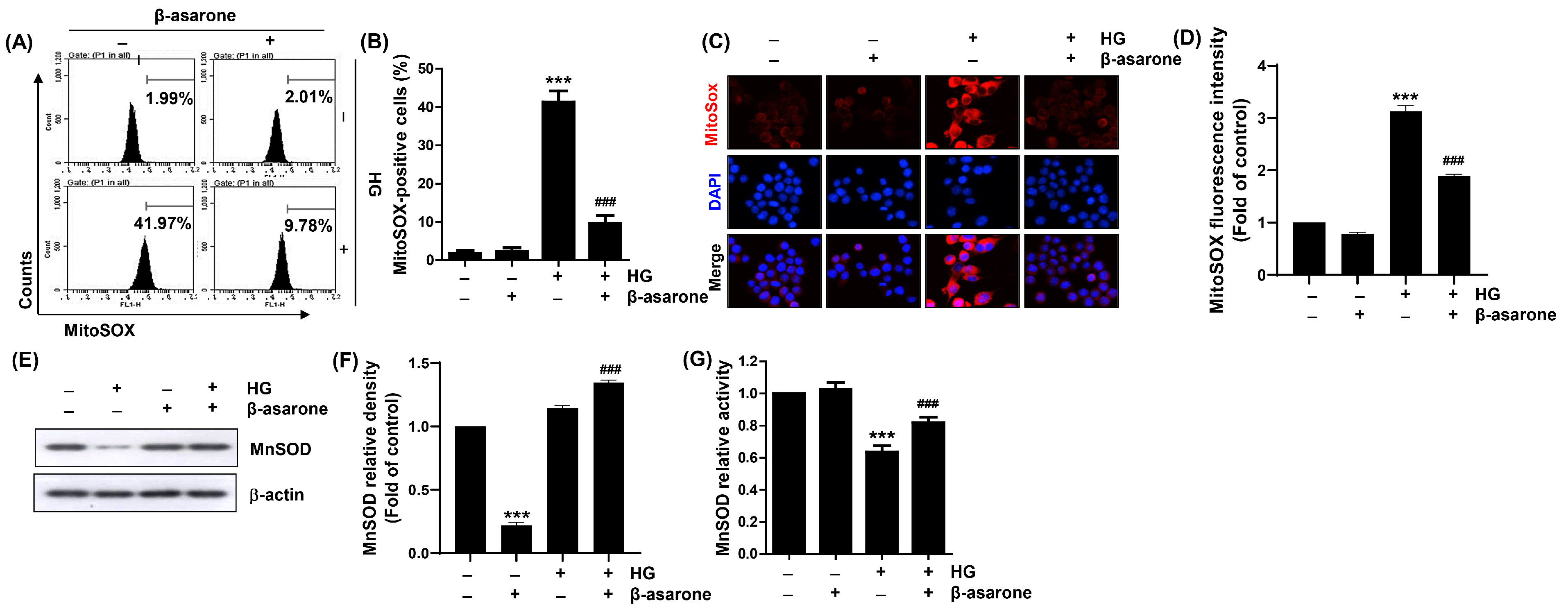 Antioxidants 12 01410 g004