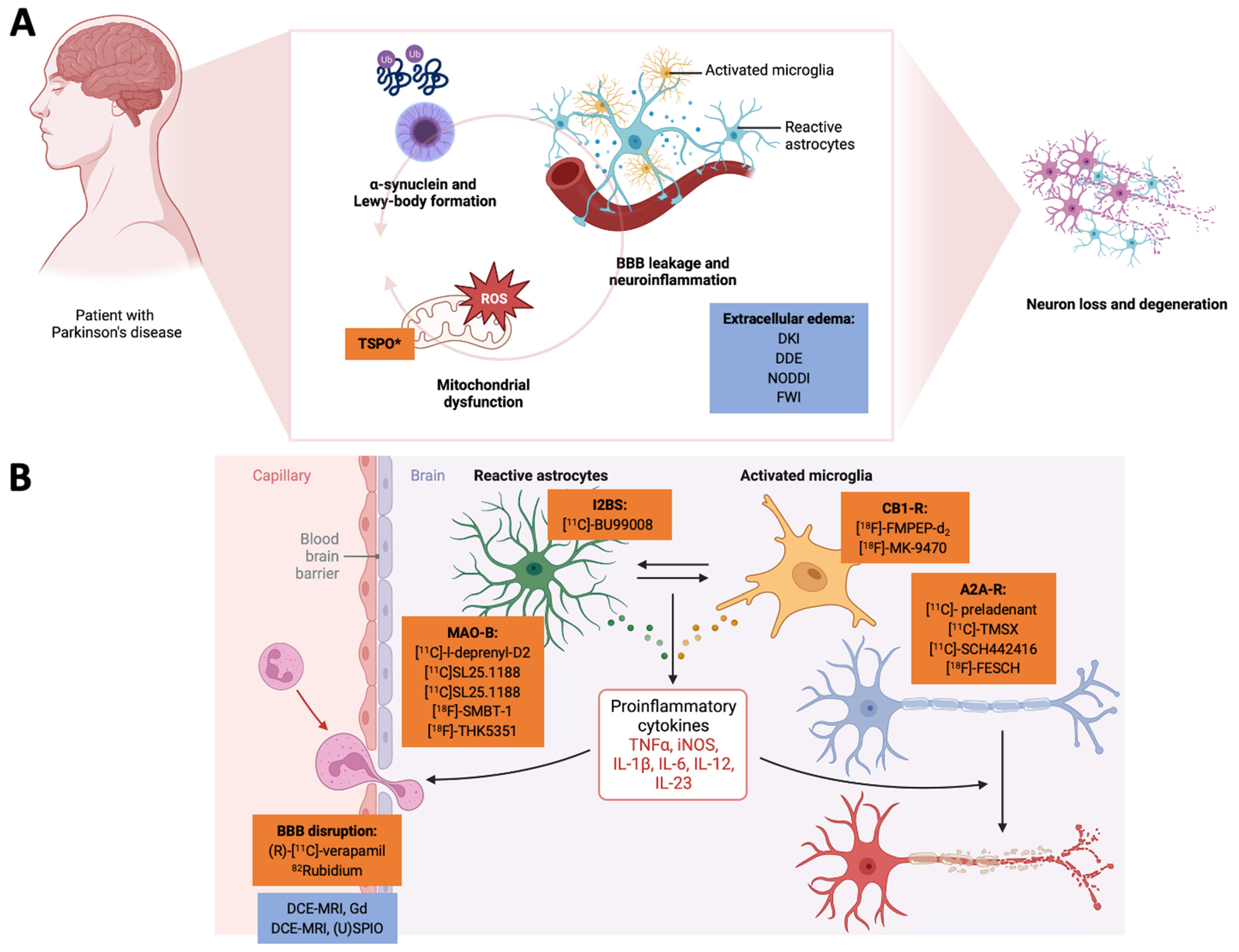 Antioxidants 12 01411 g001