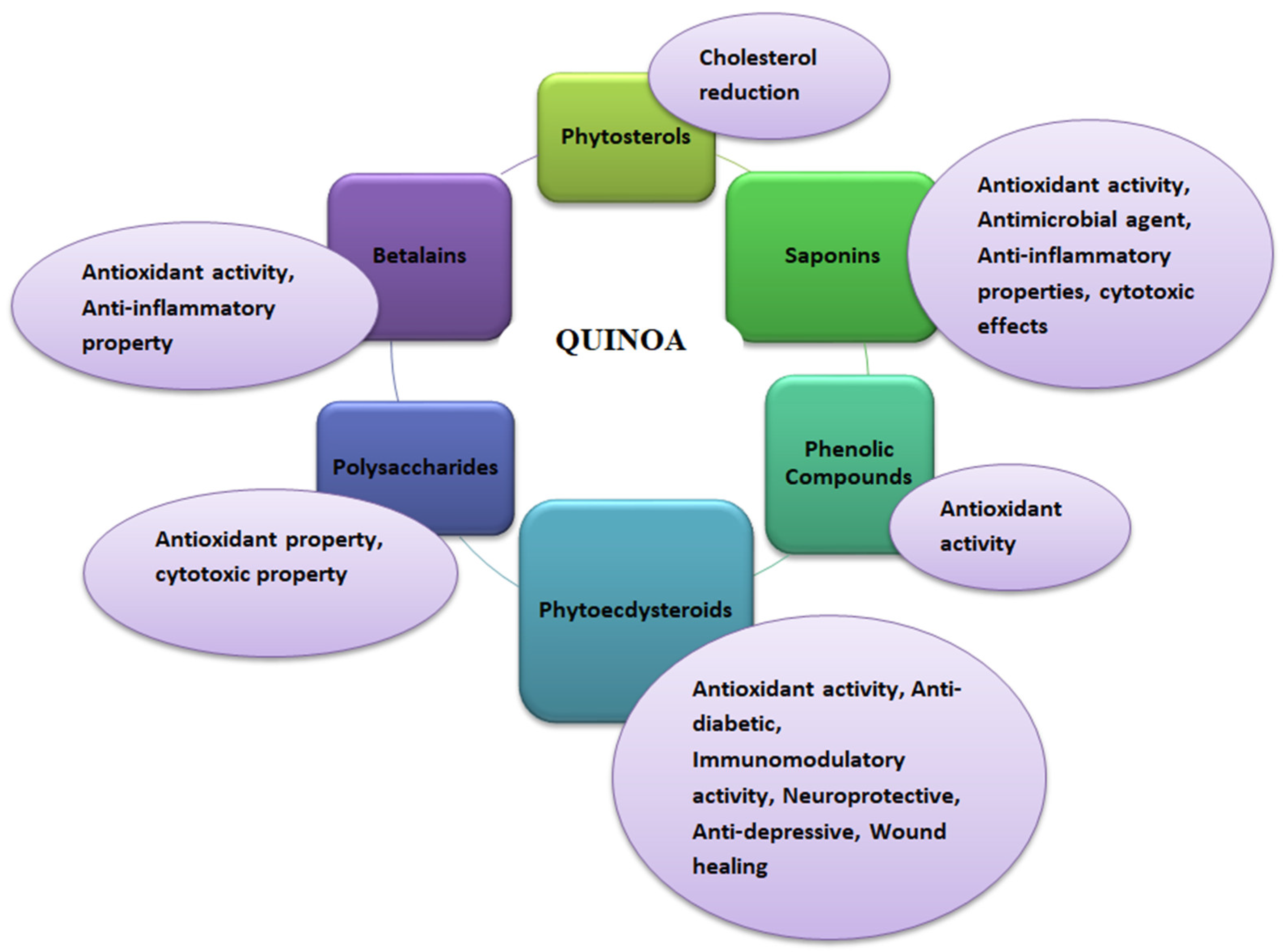 Antioxidants 12 01413 g001