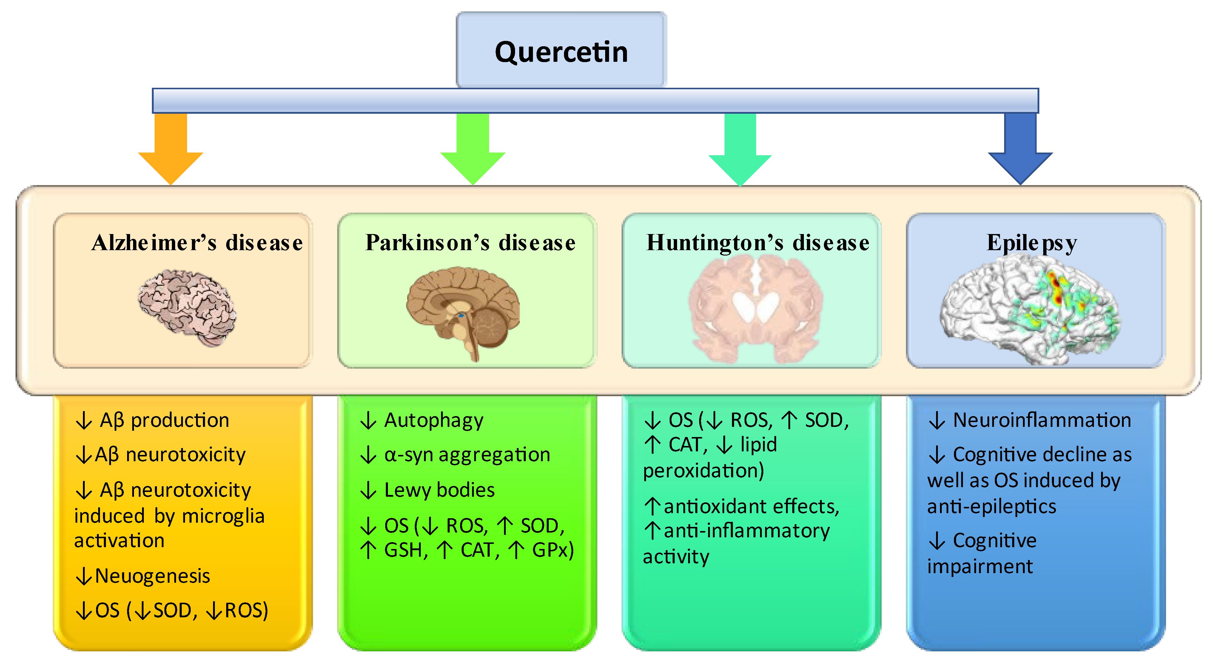 Antioxidants 12 01418 g003 Antioxidants 12 01418 g003