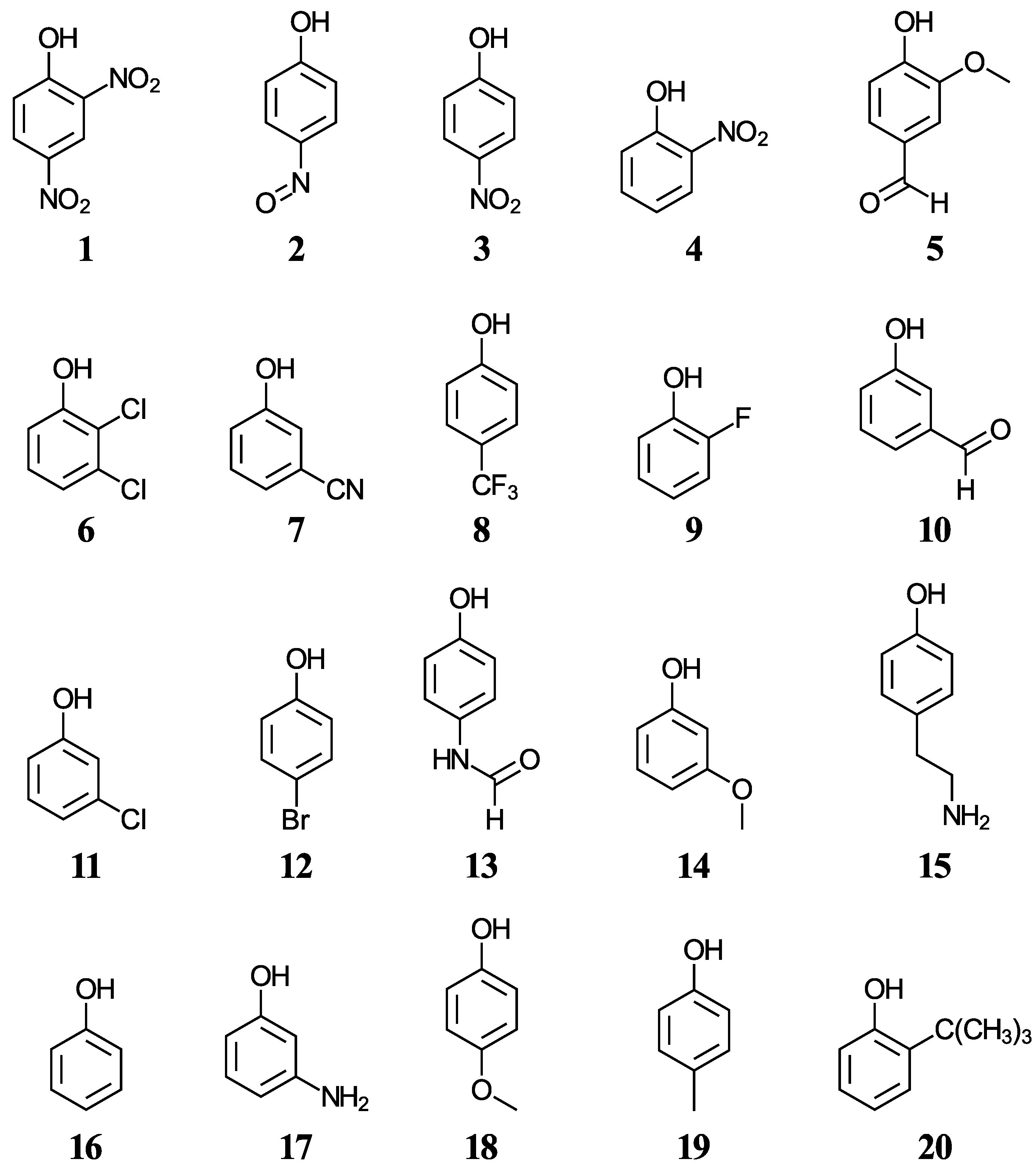 Antioxidants 12 01420 g001